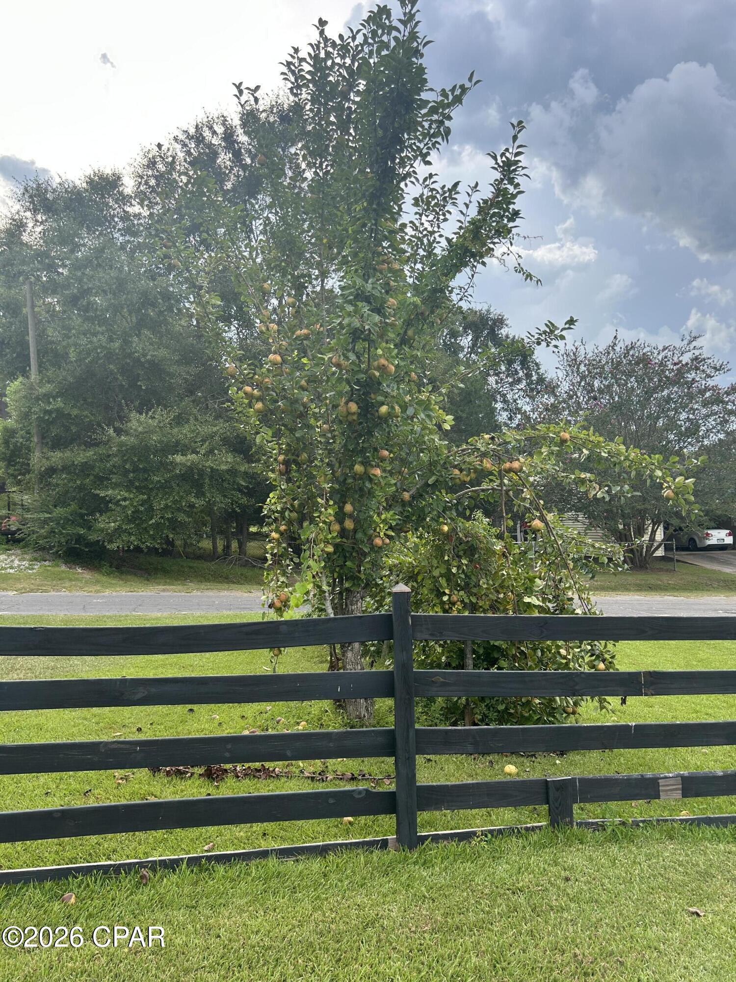 main property photo 31