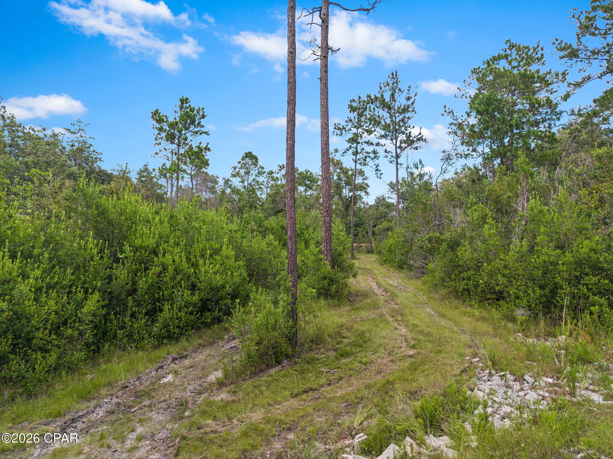 main property photo 44