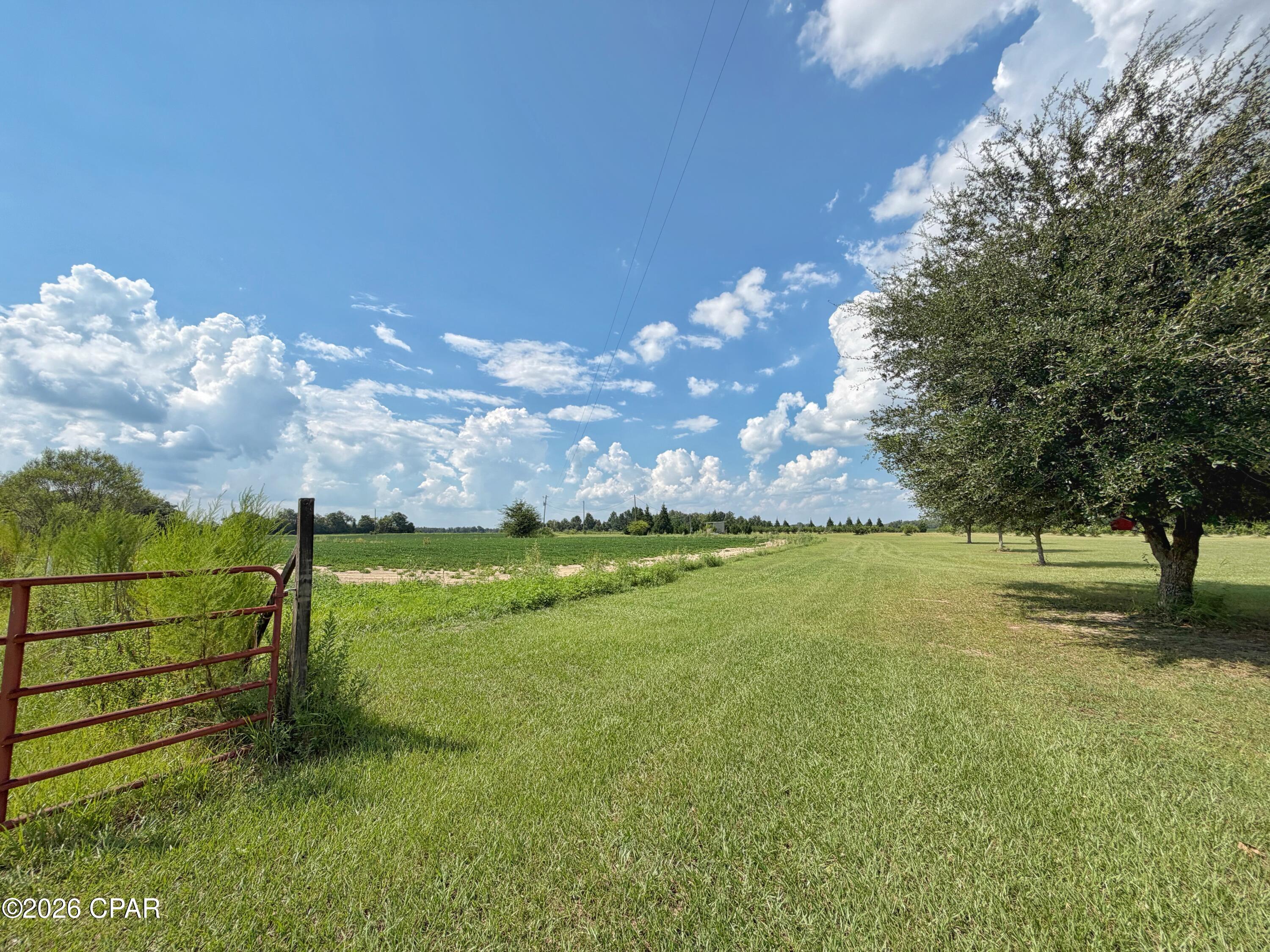 main property photo 40