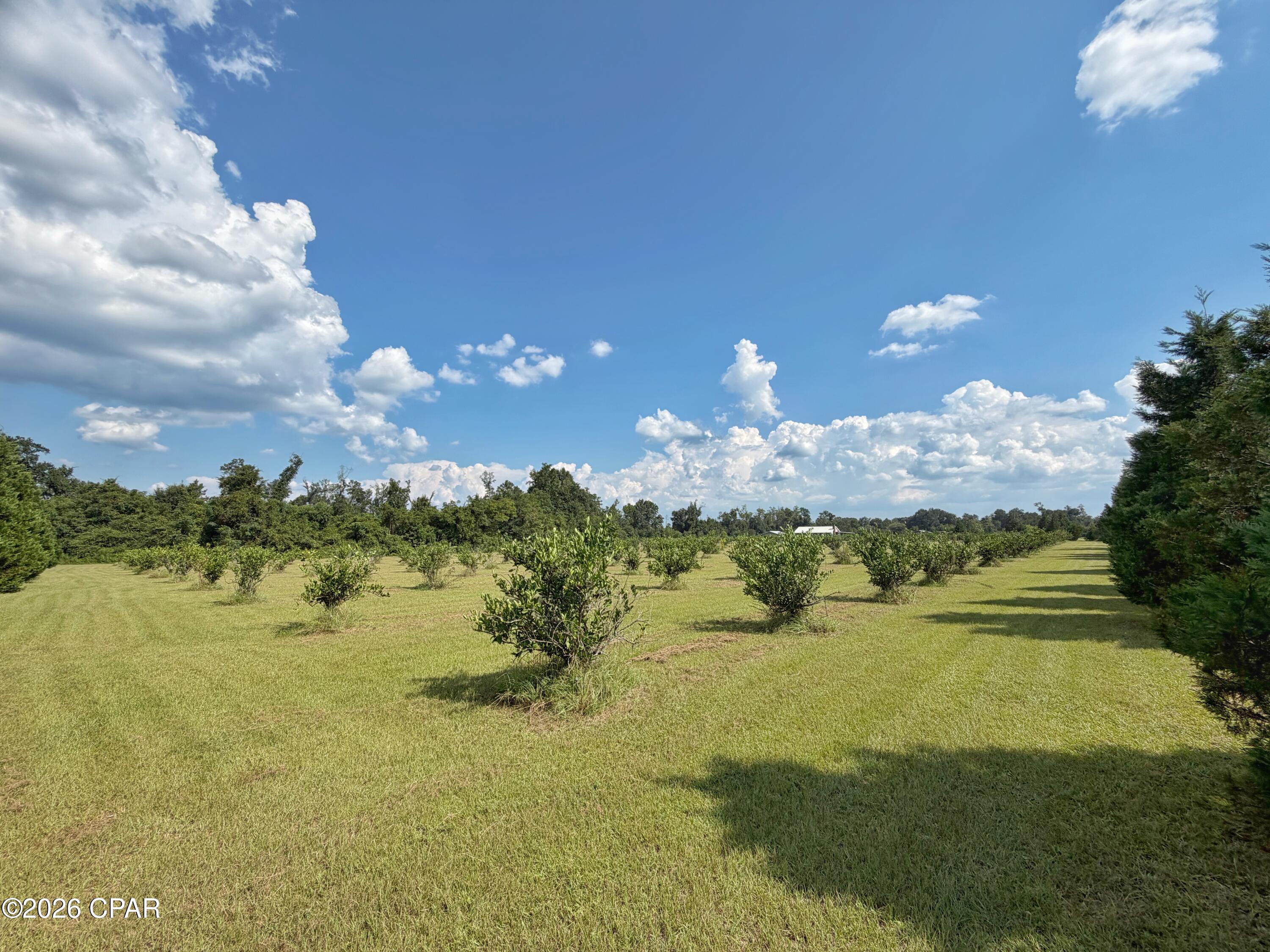 main property photo 46