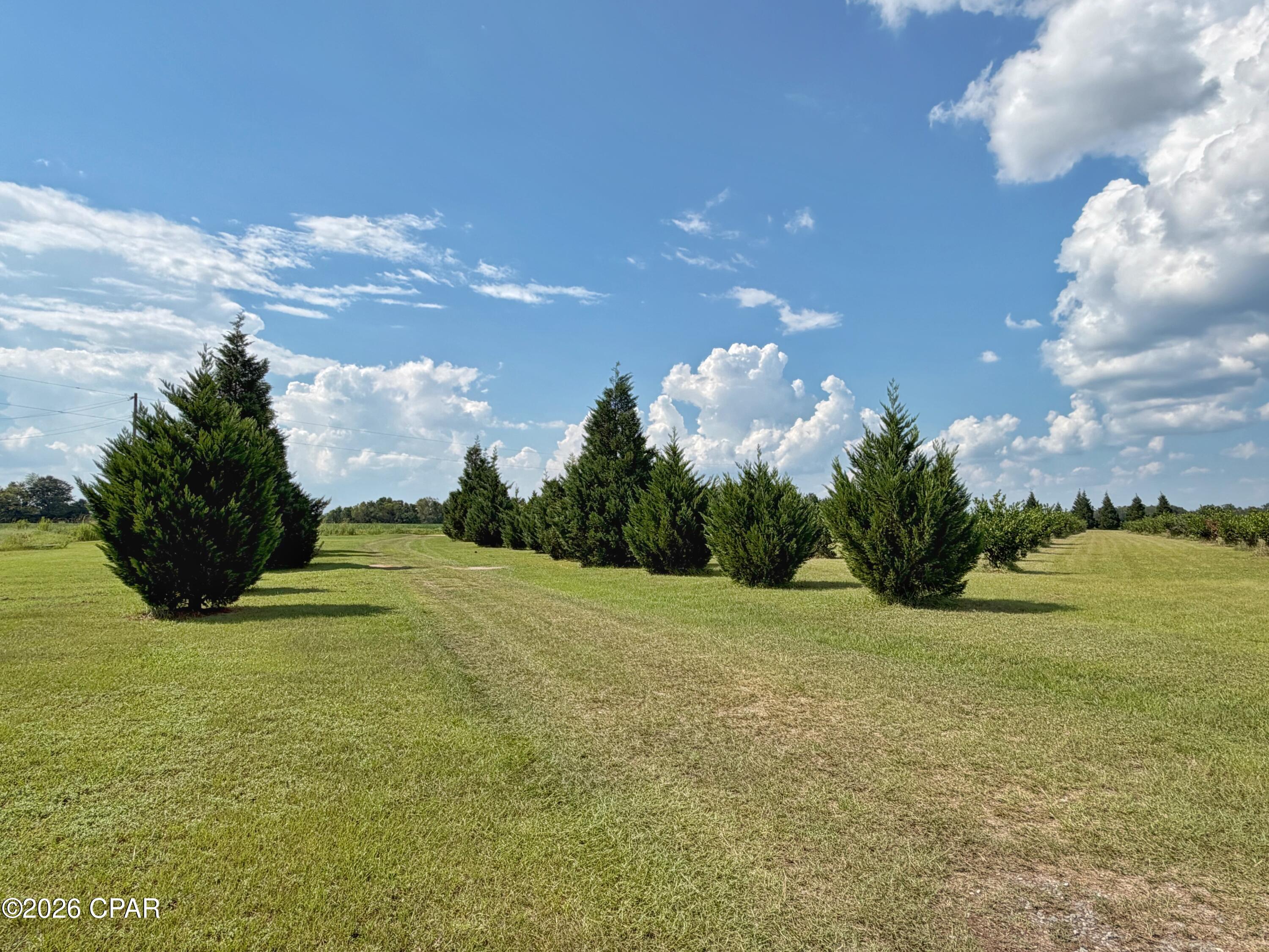 main property photo 47