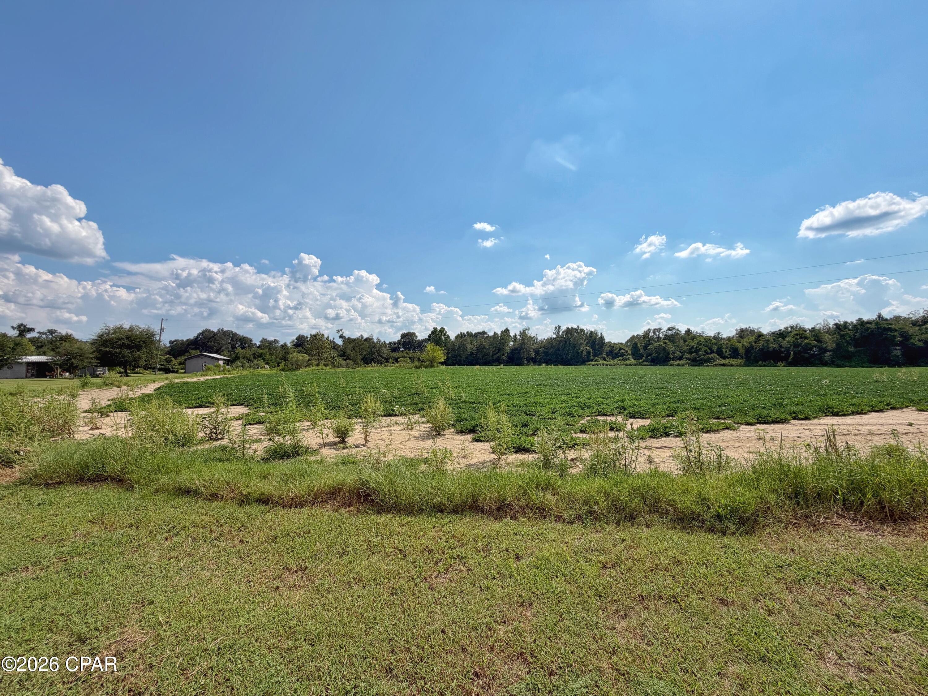 main property photo 50