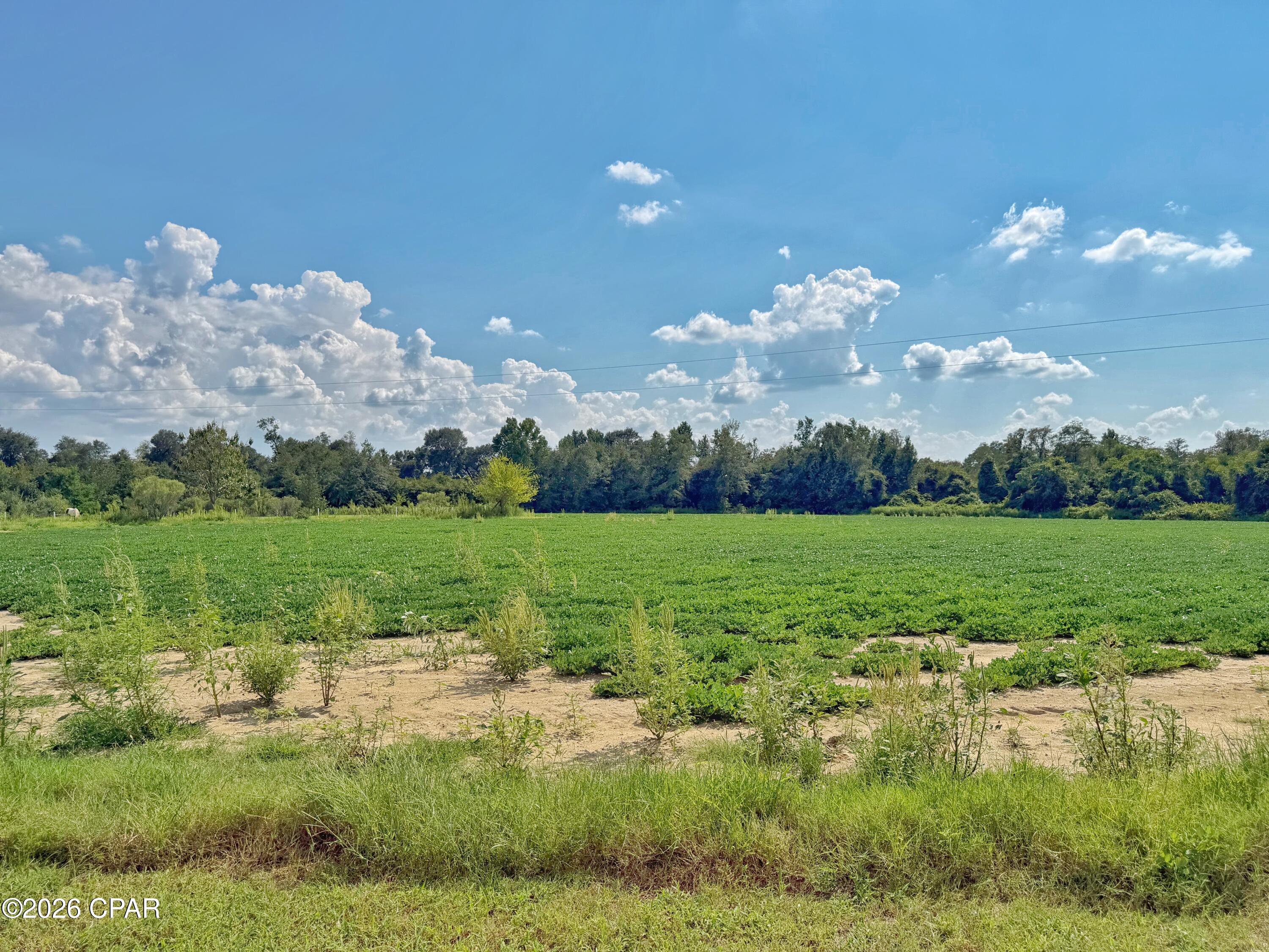 main property photo 51