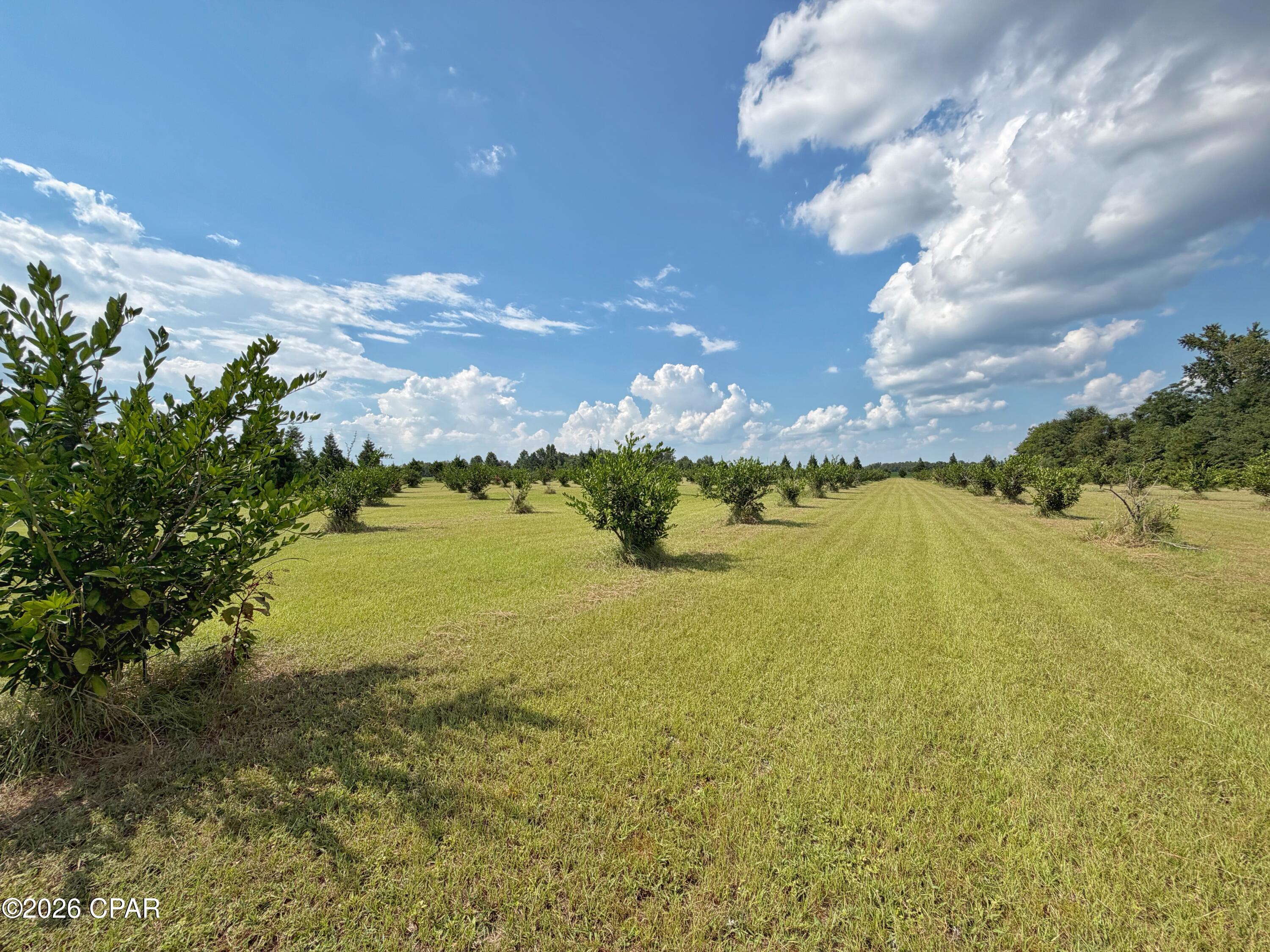 main property photo 52