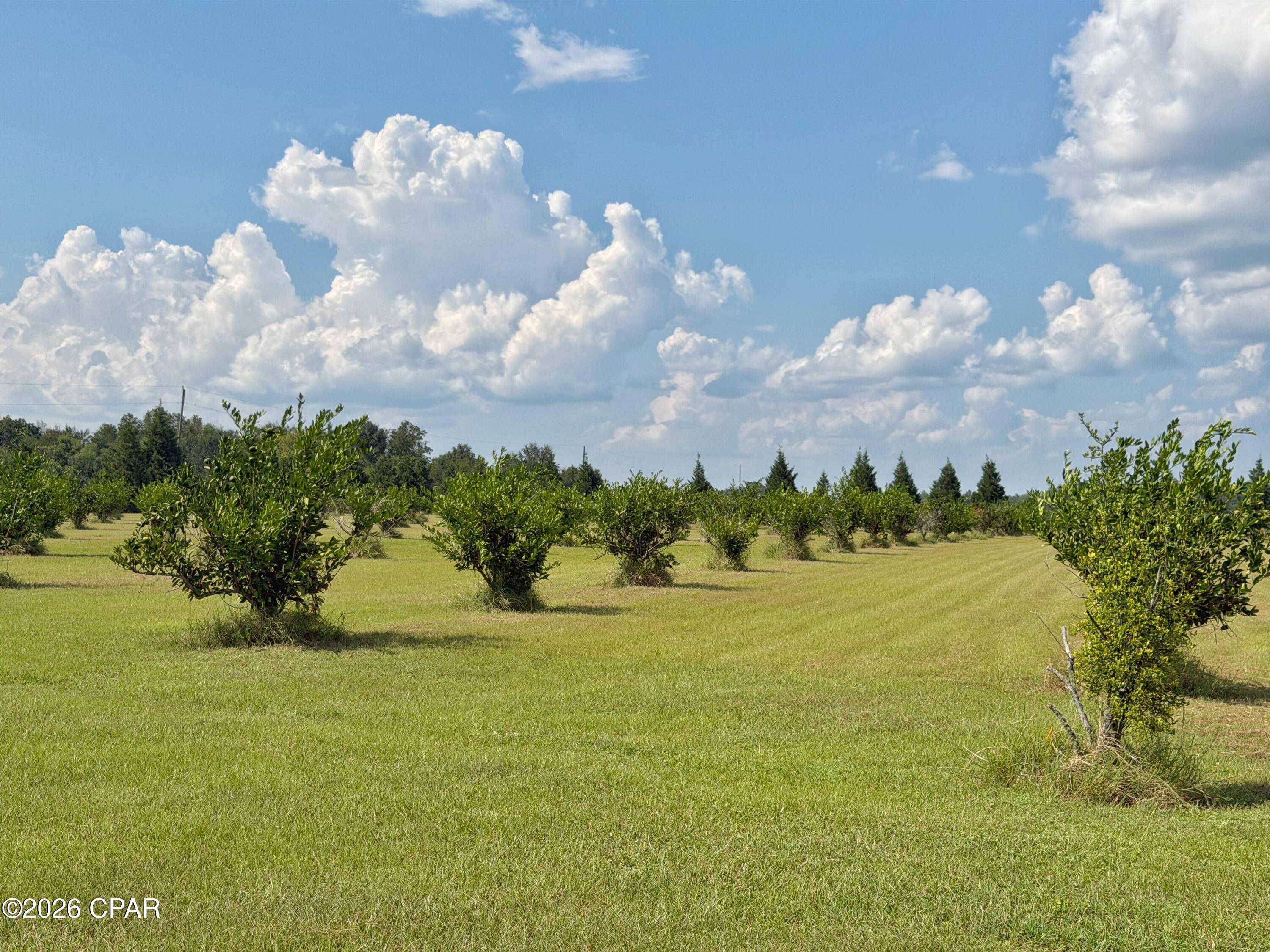 main property photo 53