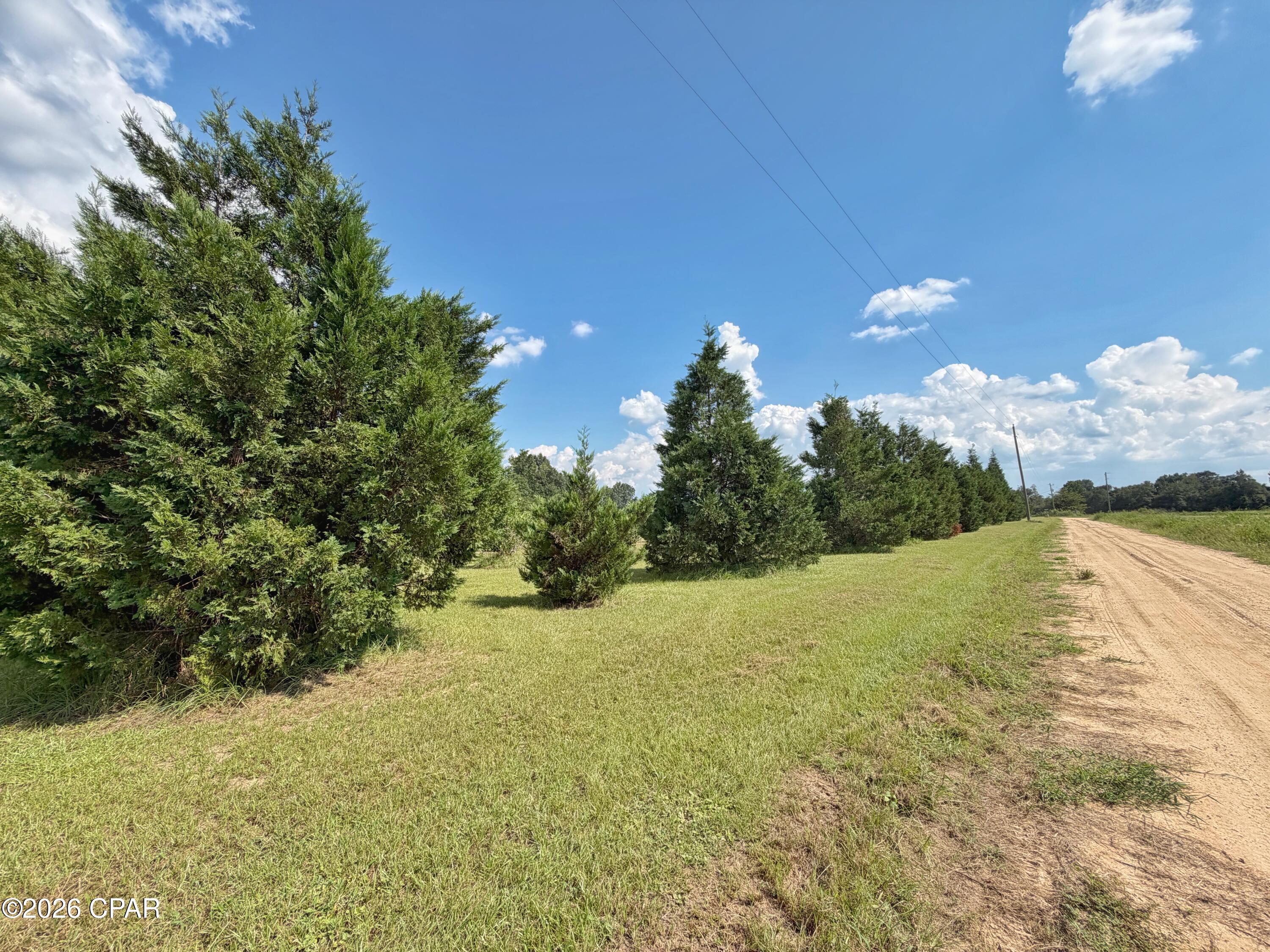 main property photo 54