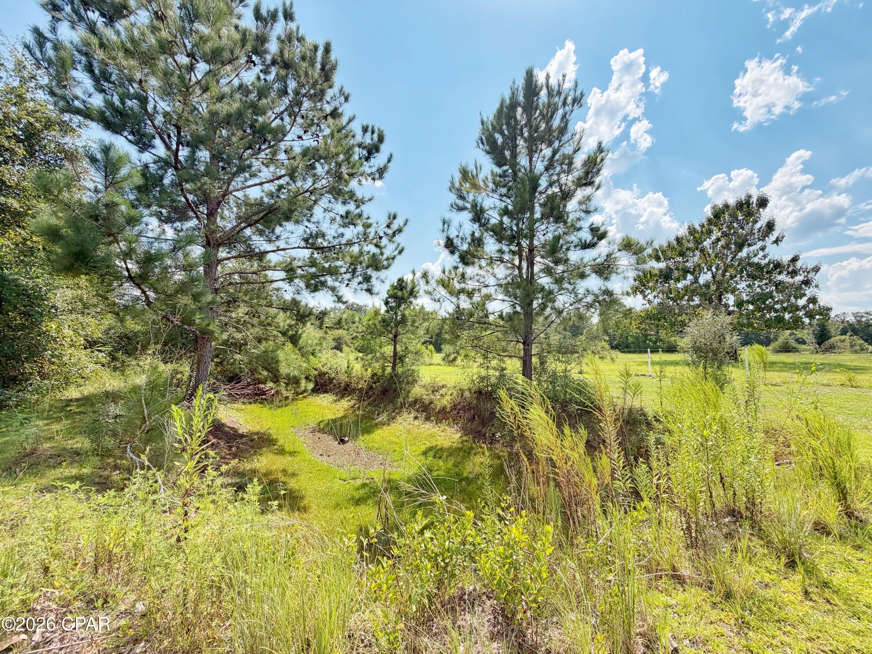main property photo 55