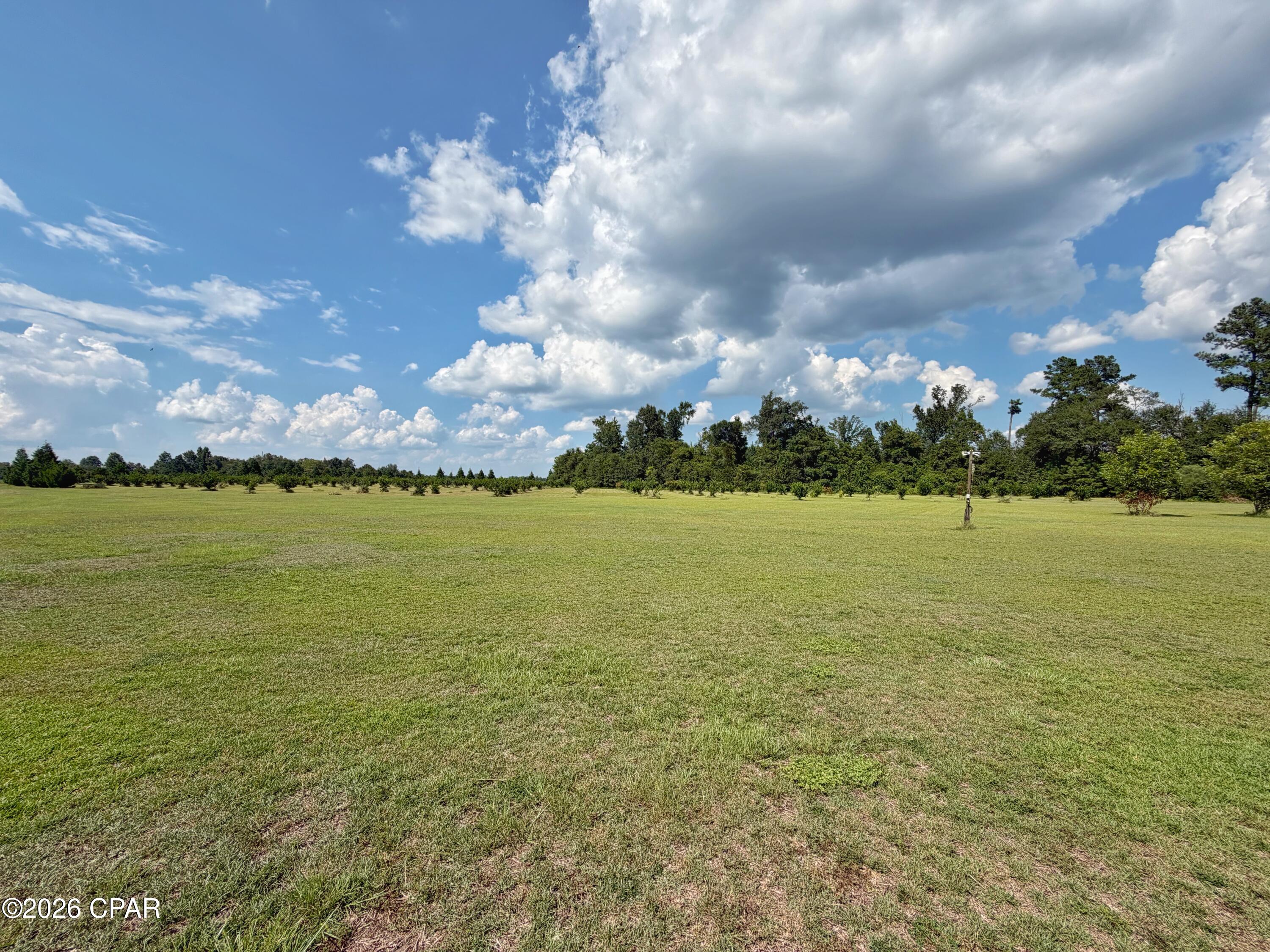 main property photo 56