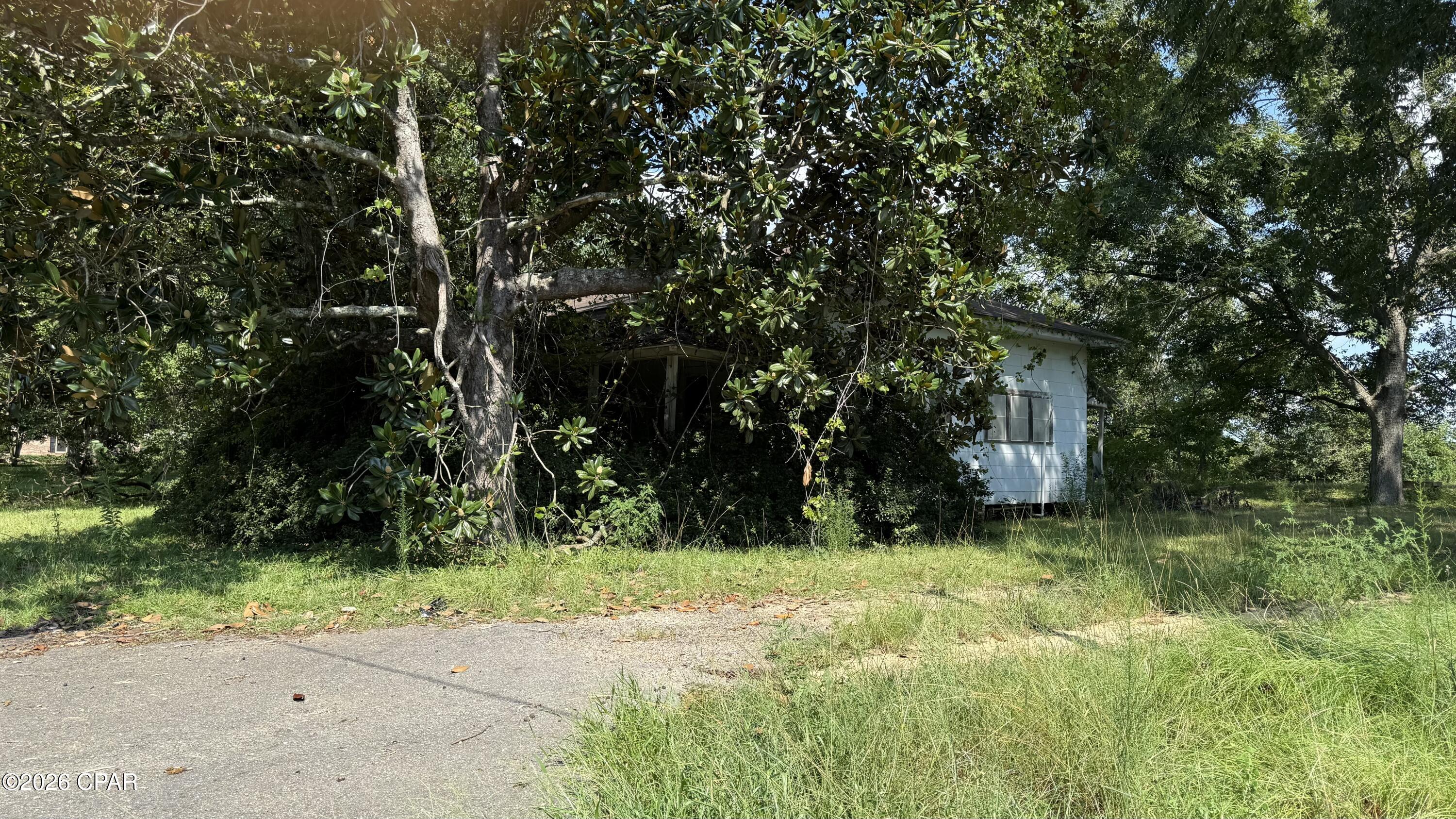 main property photo 5