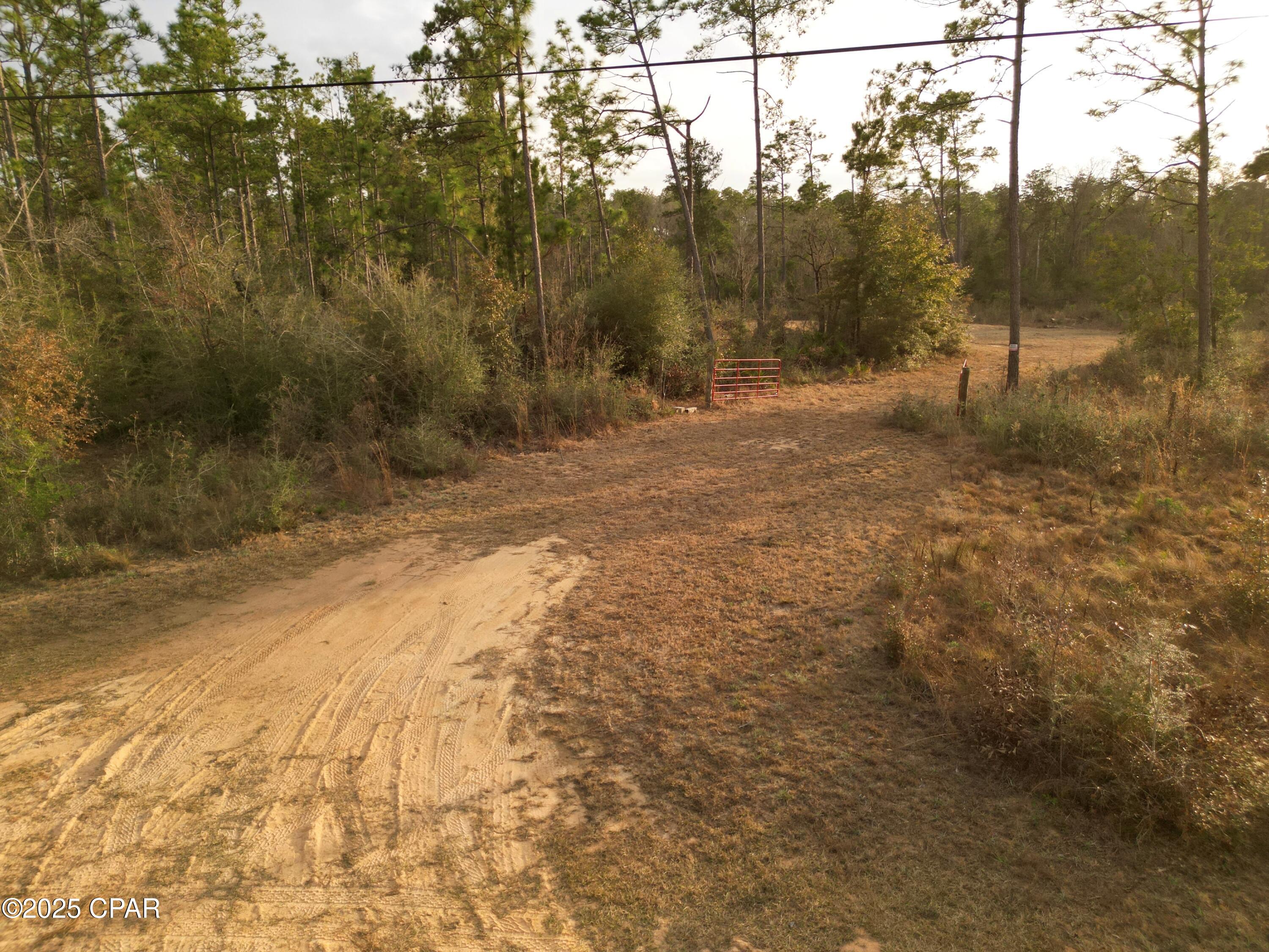 main property photo 5