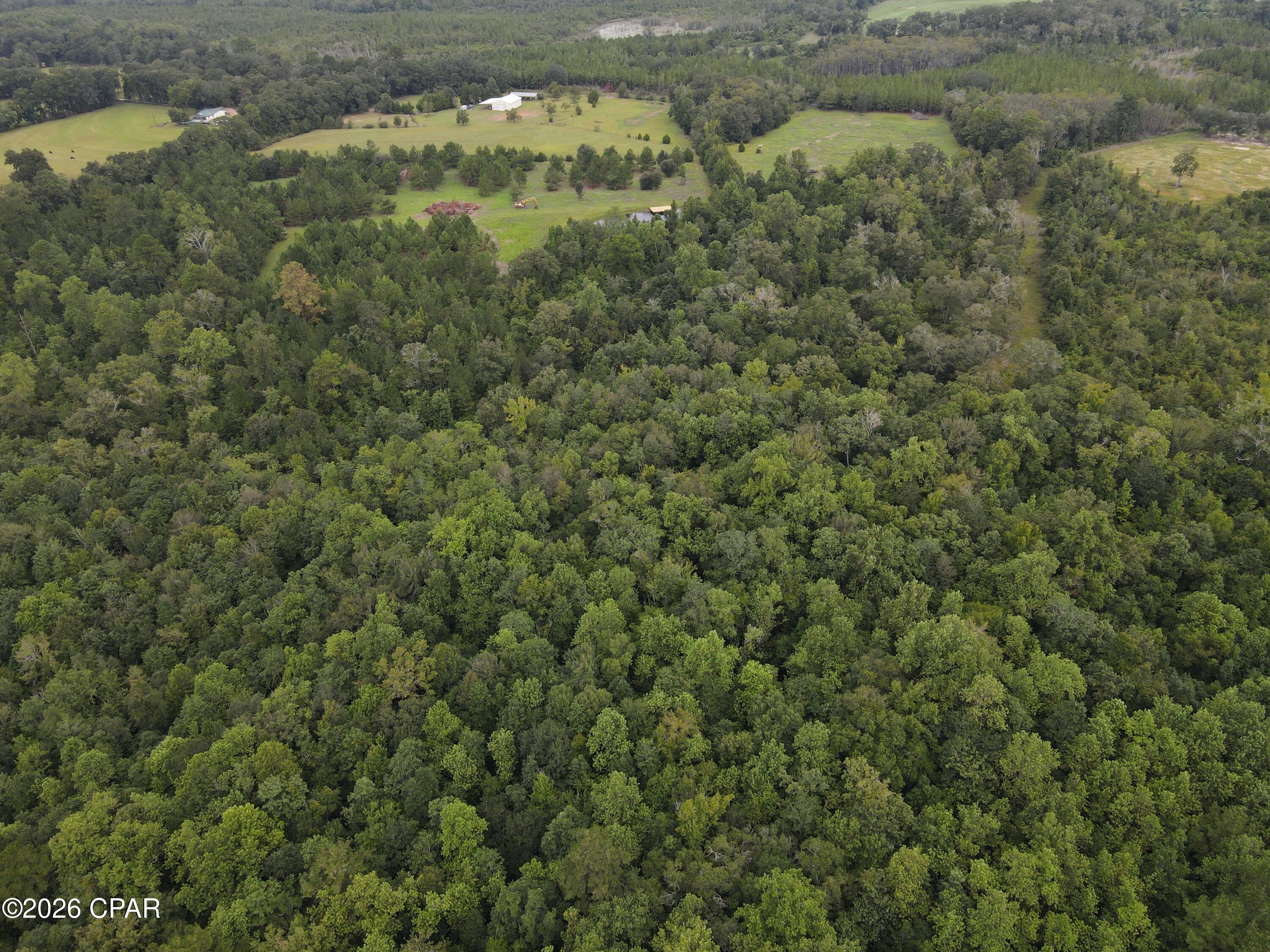 main property photo 53