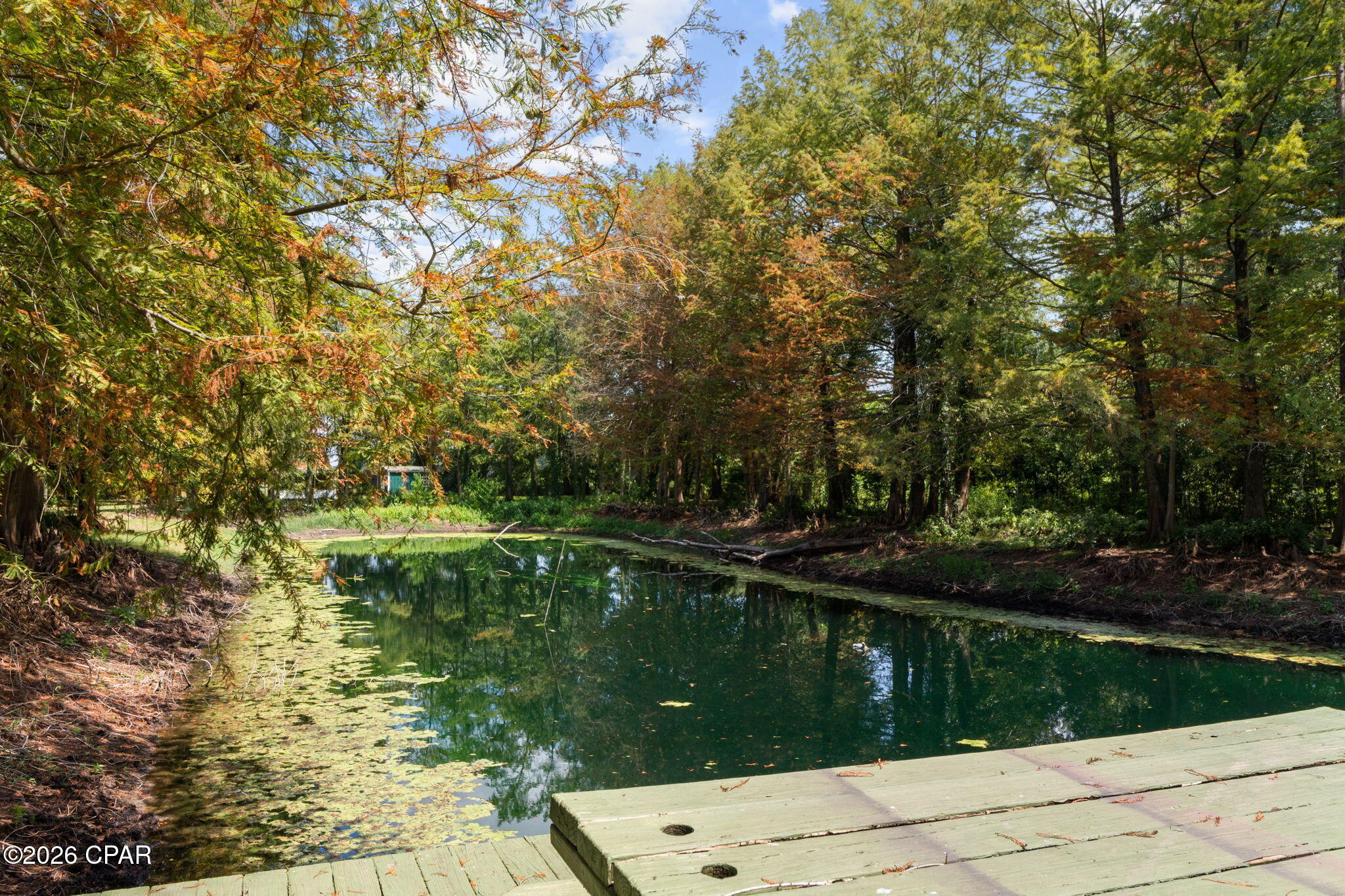 main property photo 35