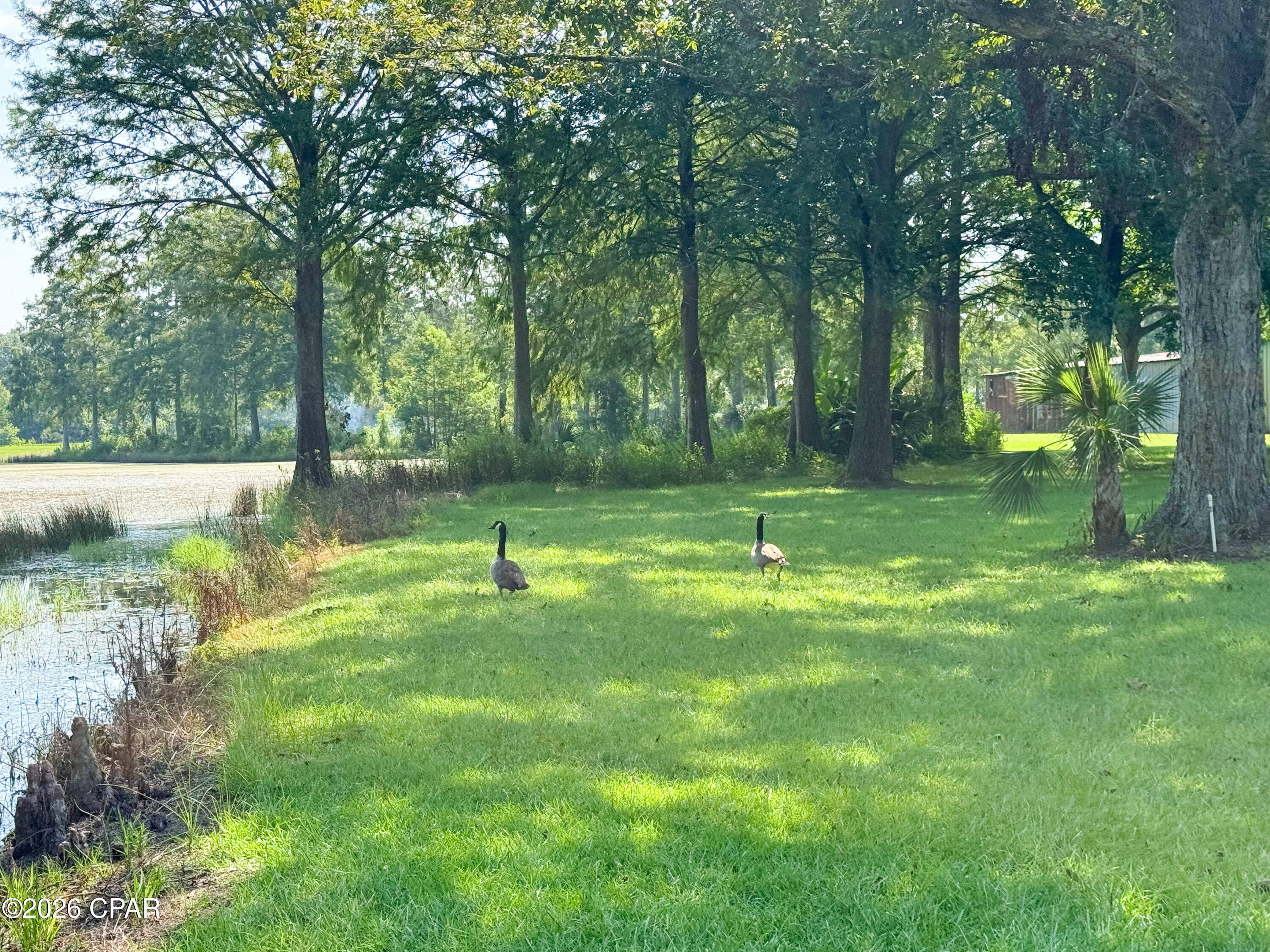 main property photo 16