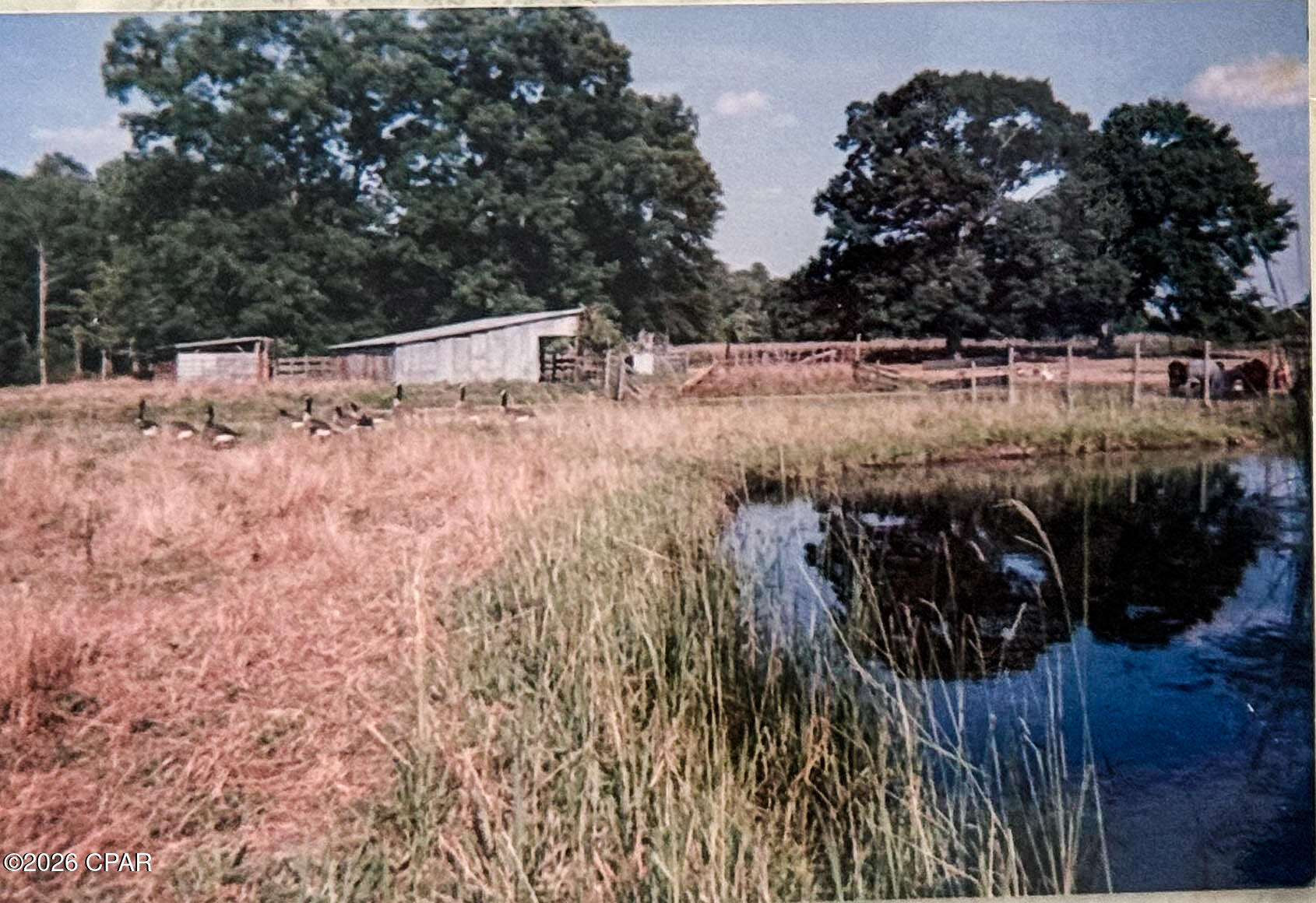 main property photo 40
