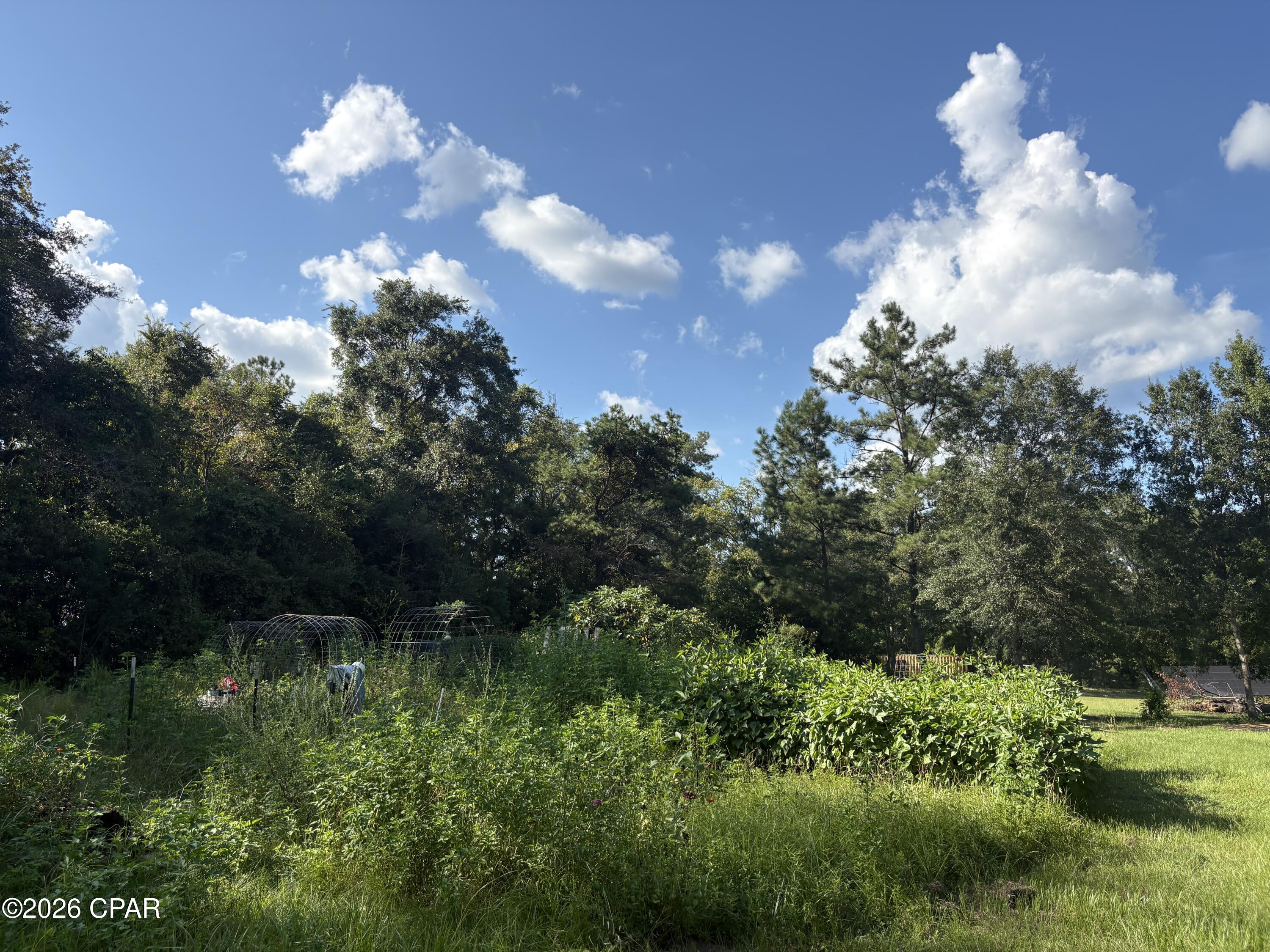 main property photo 100