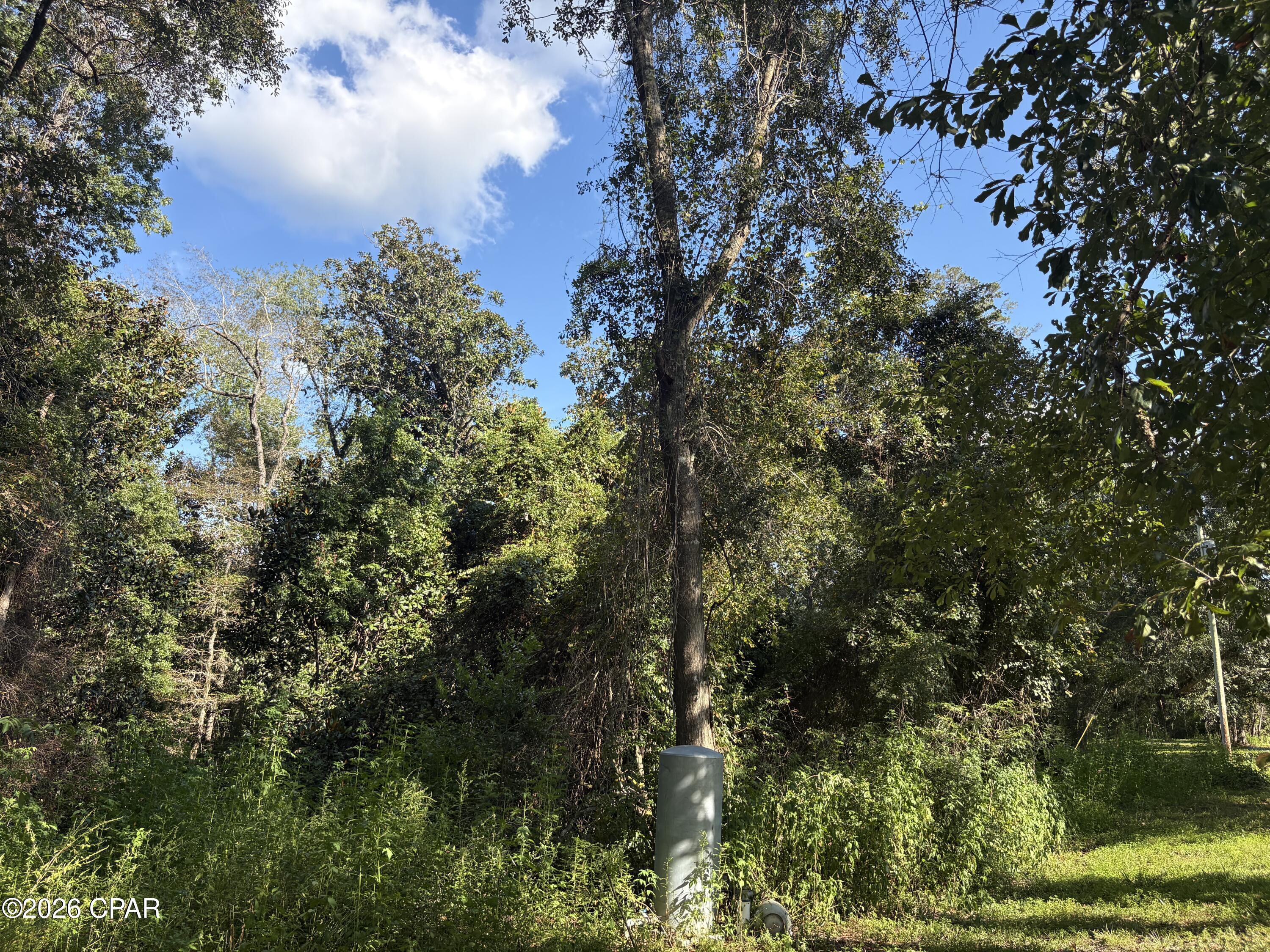 main property photo 101