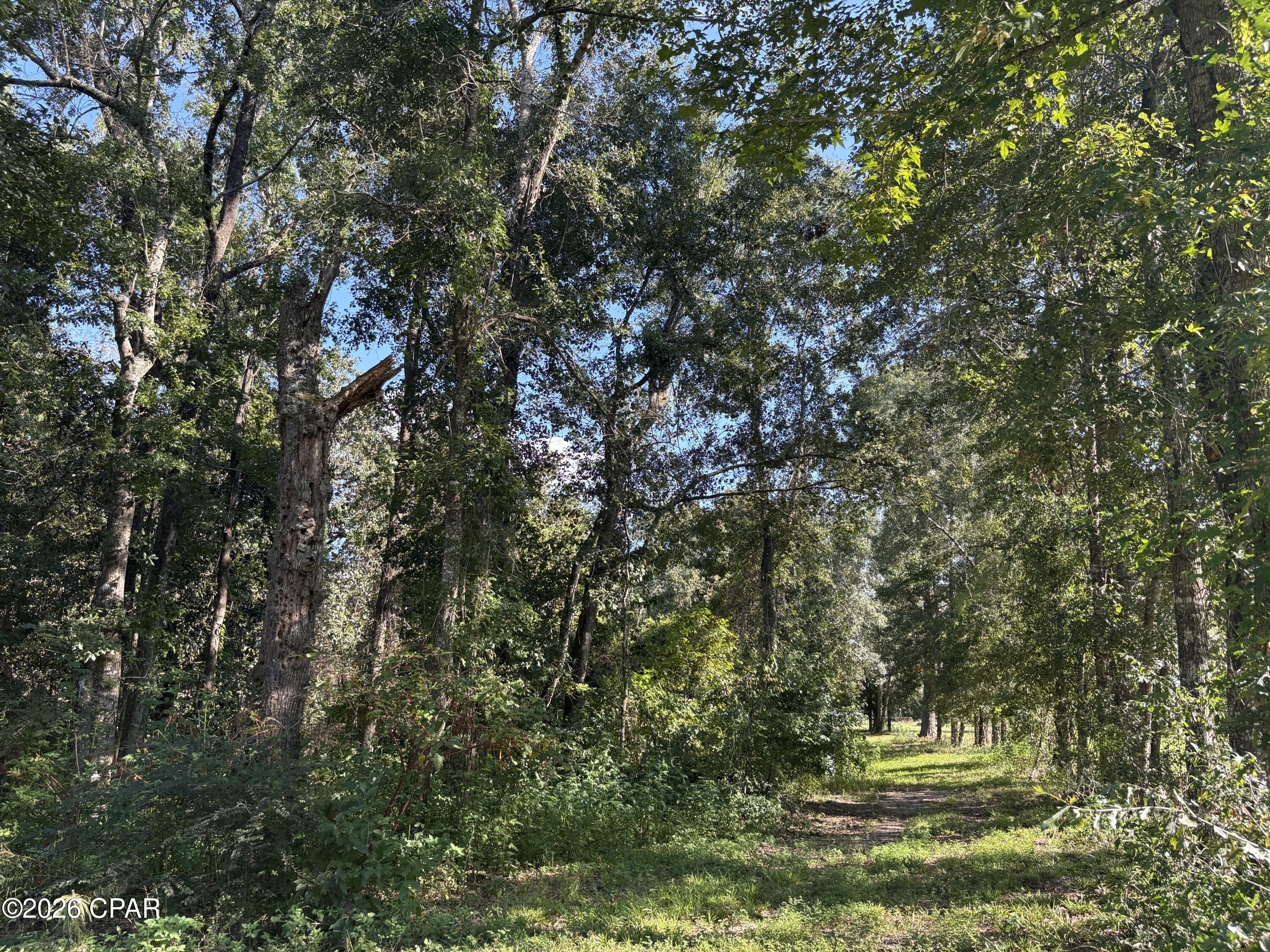 main property photo 103