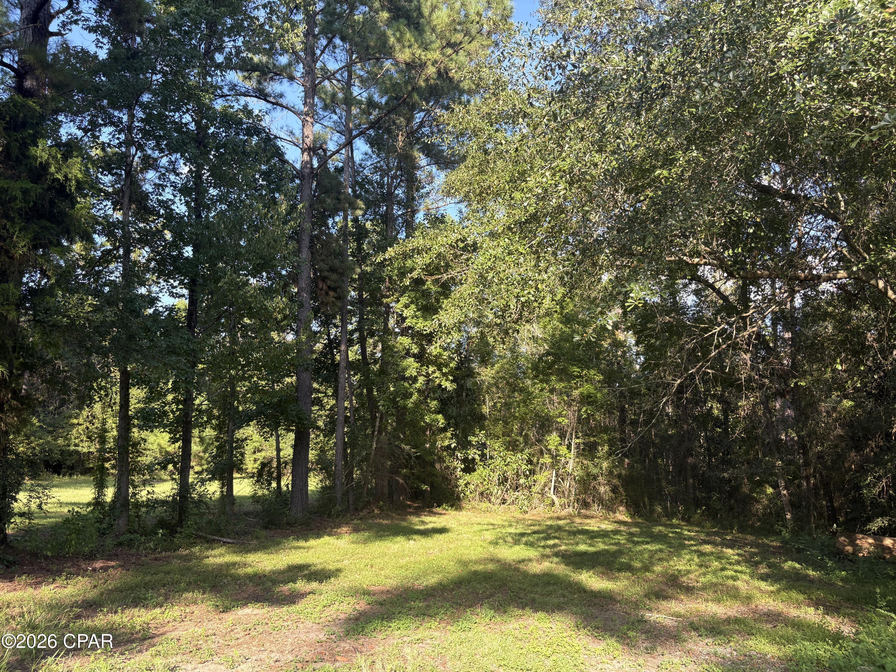 main property photo 52