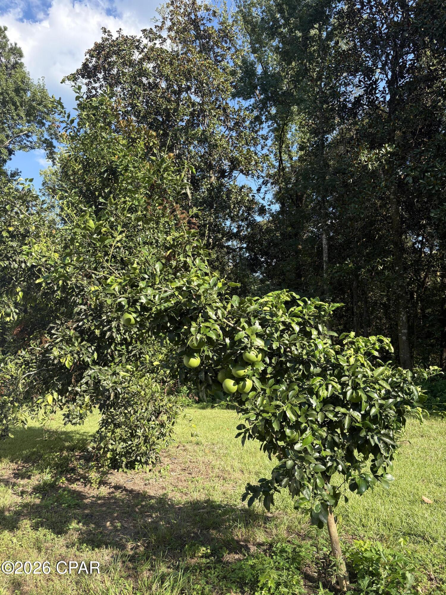 main property photo 58