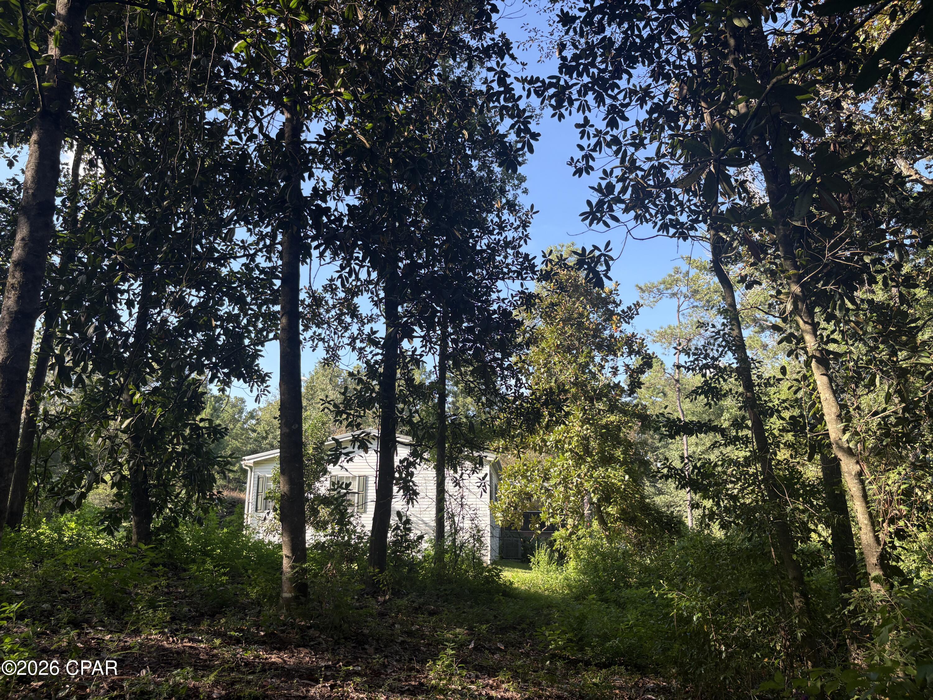 main property photo 68