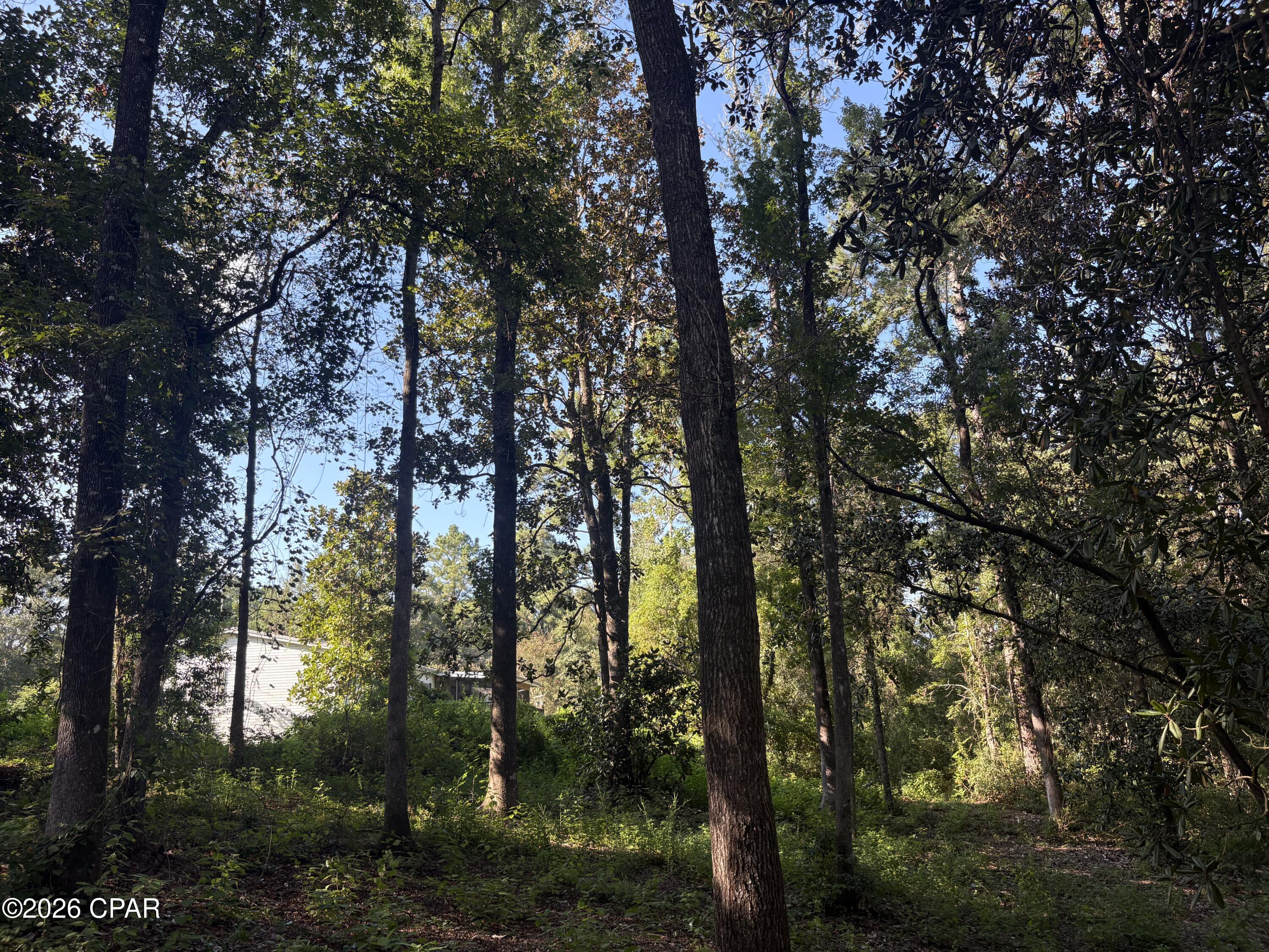 main property photo 69