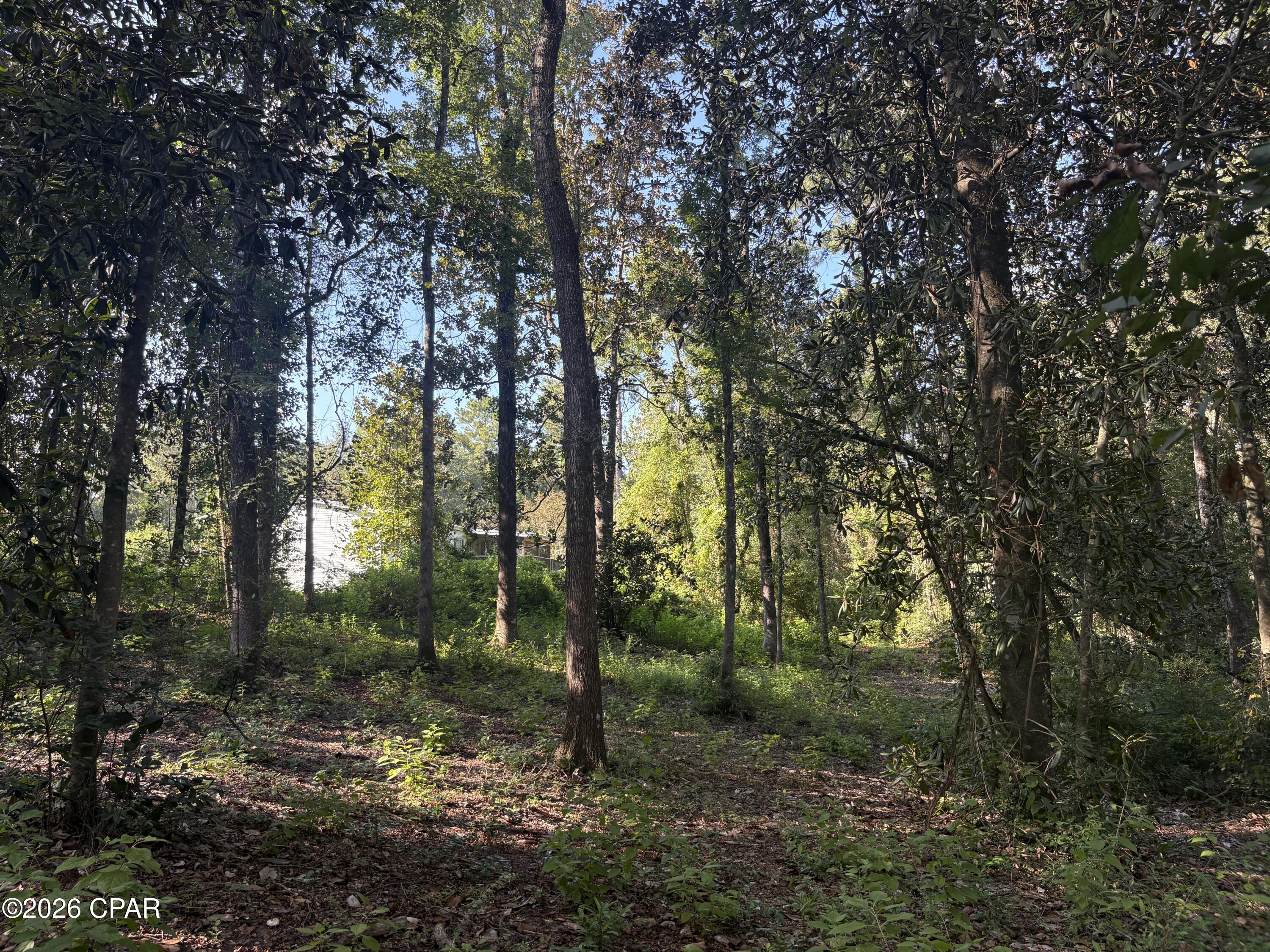 main property photo 70