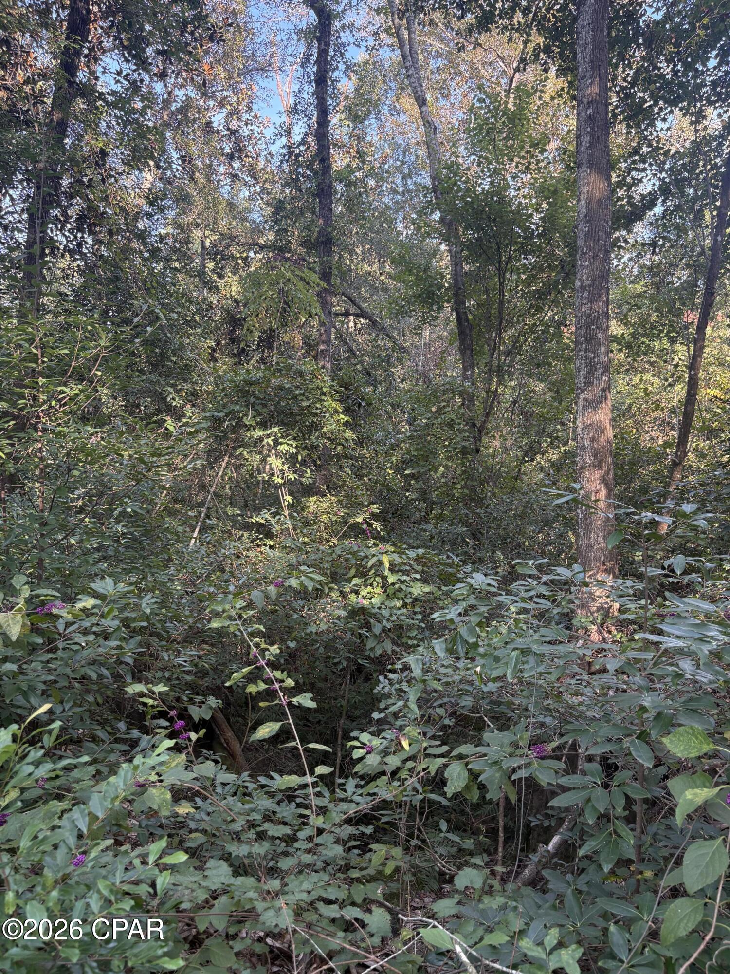 main property photo 71