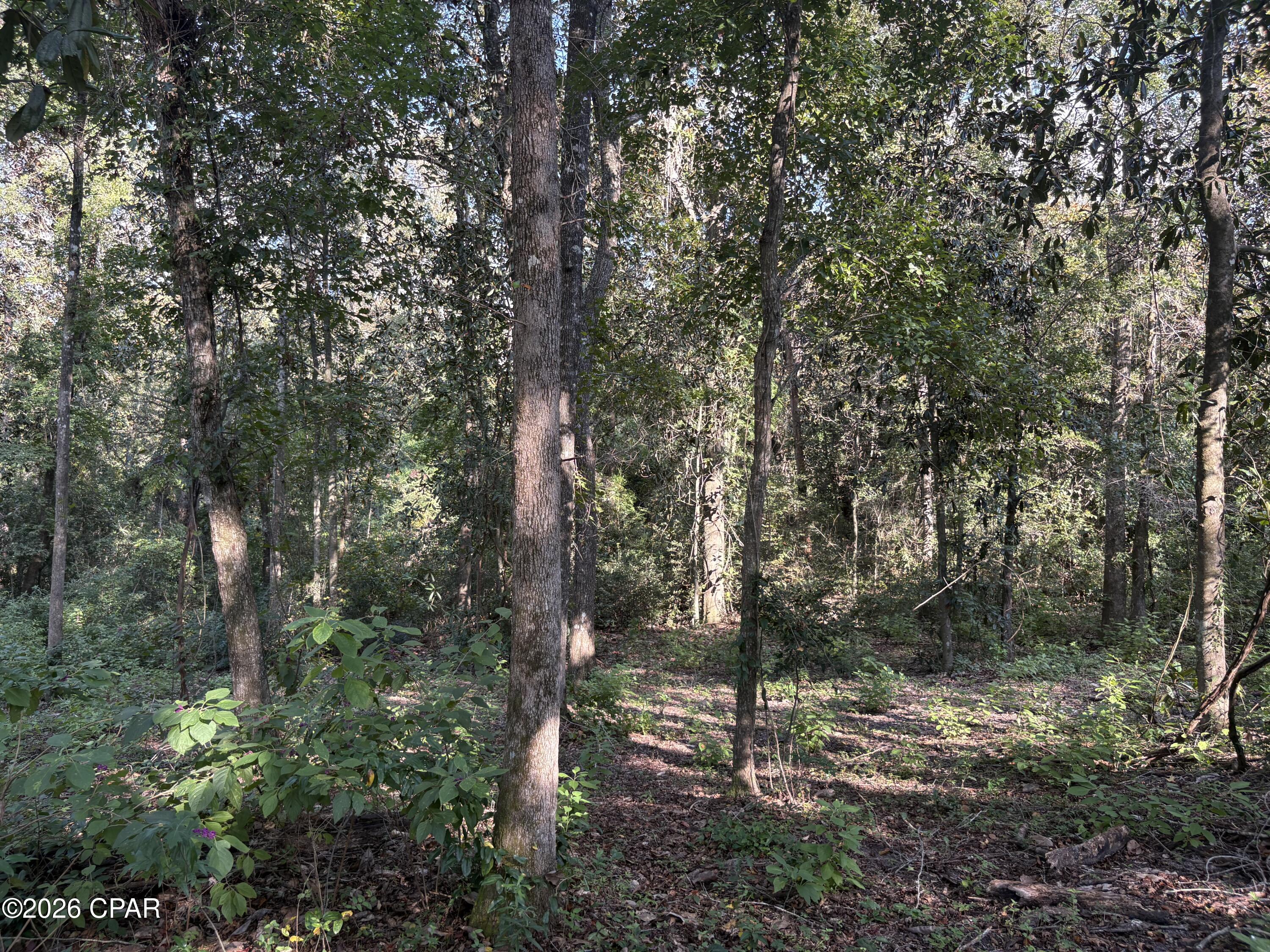 main property photo 72