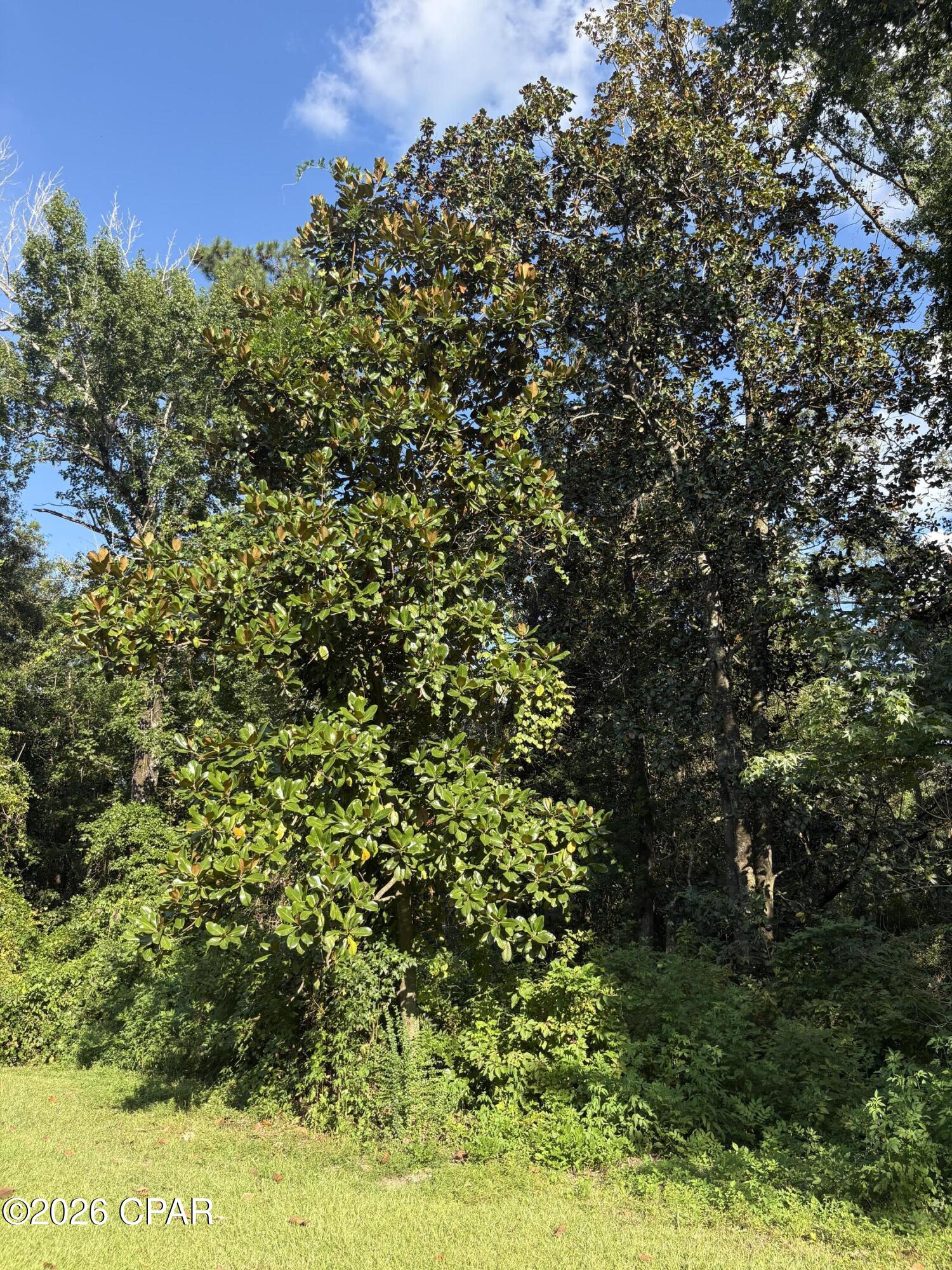 main property photo 73