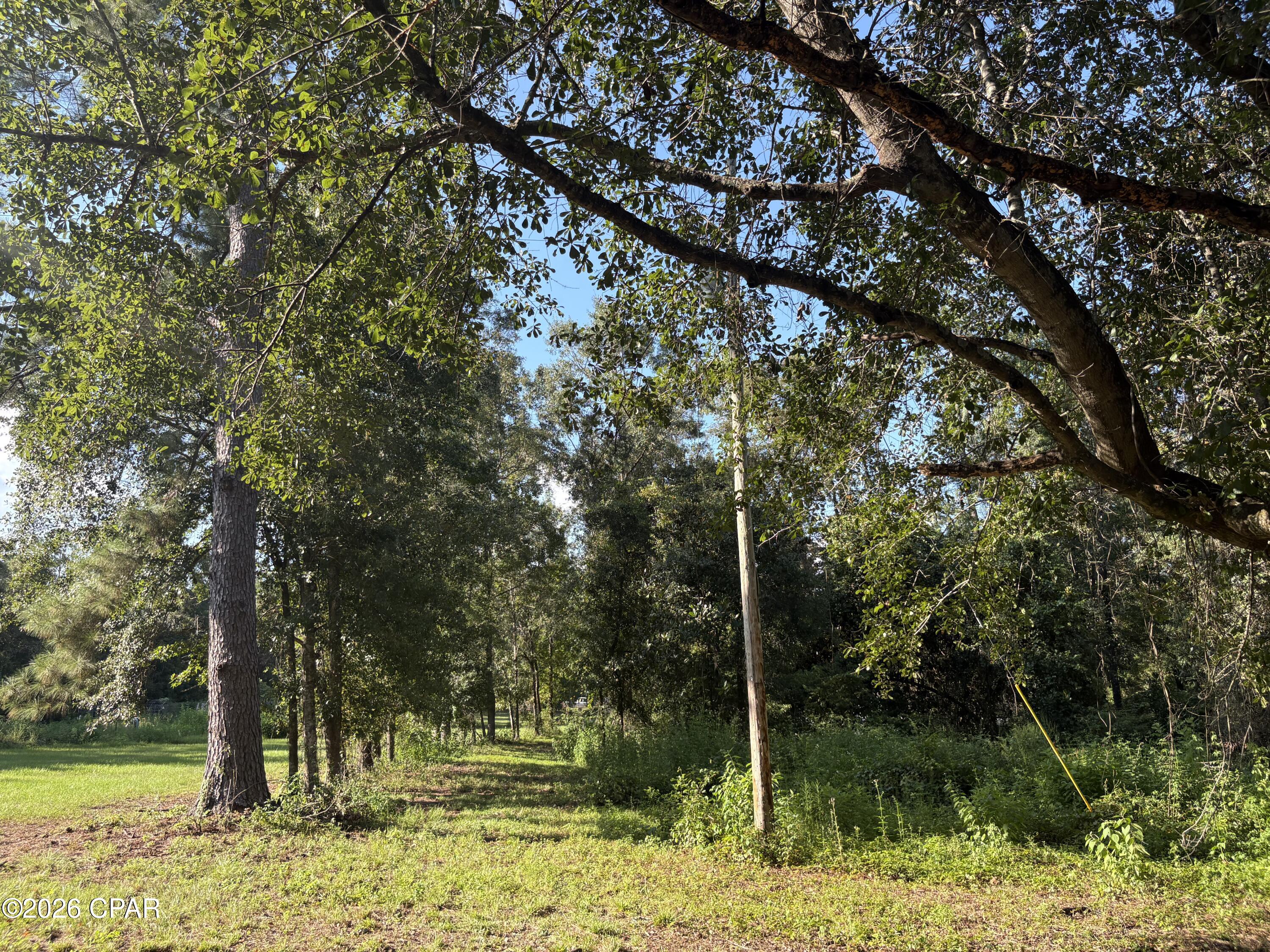 main property photo 74
