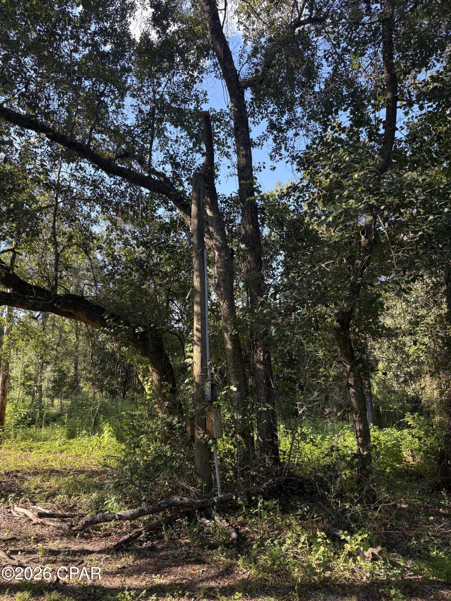 main property photo 76