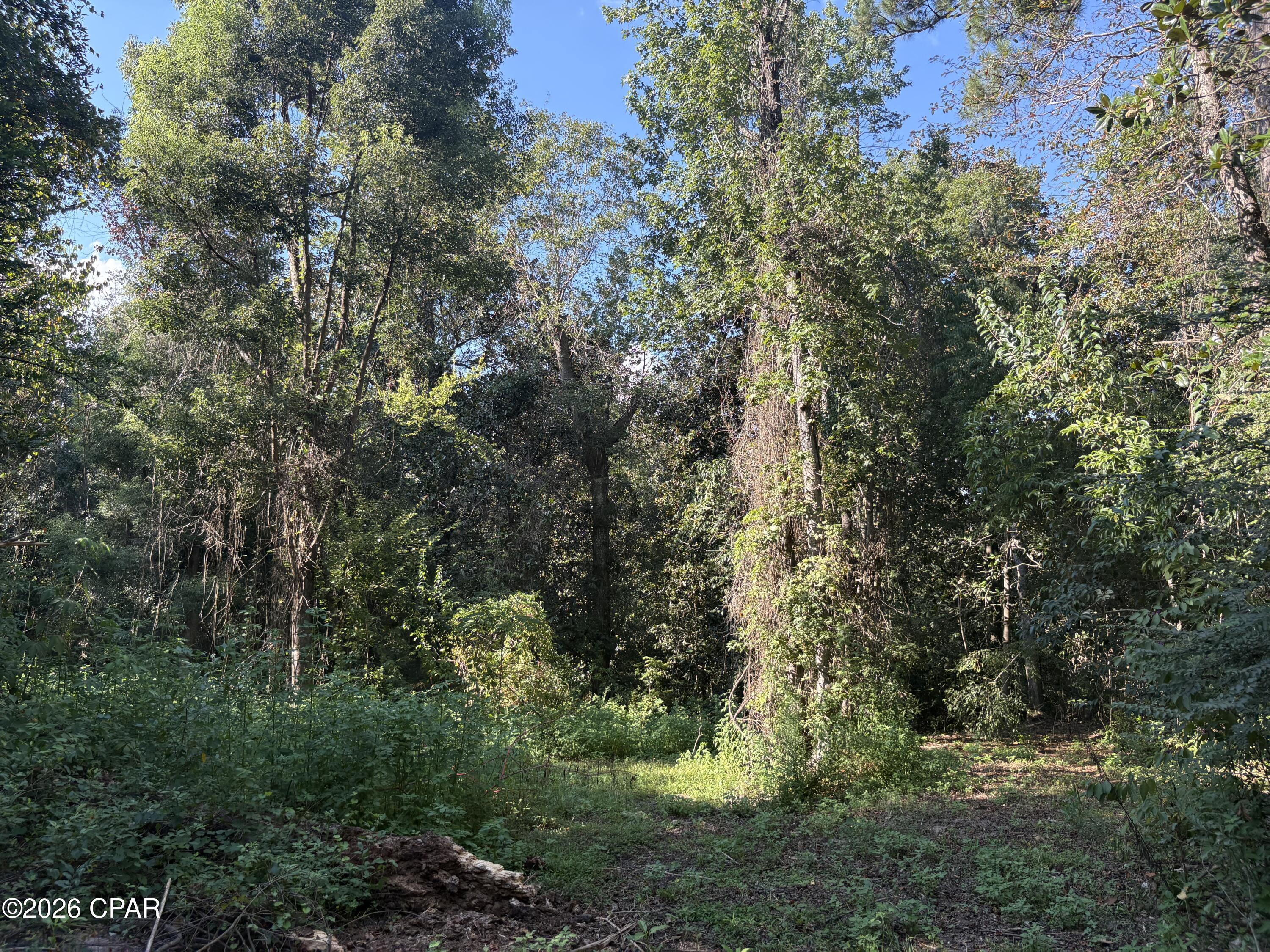main property photo 83