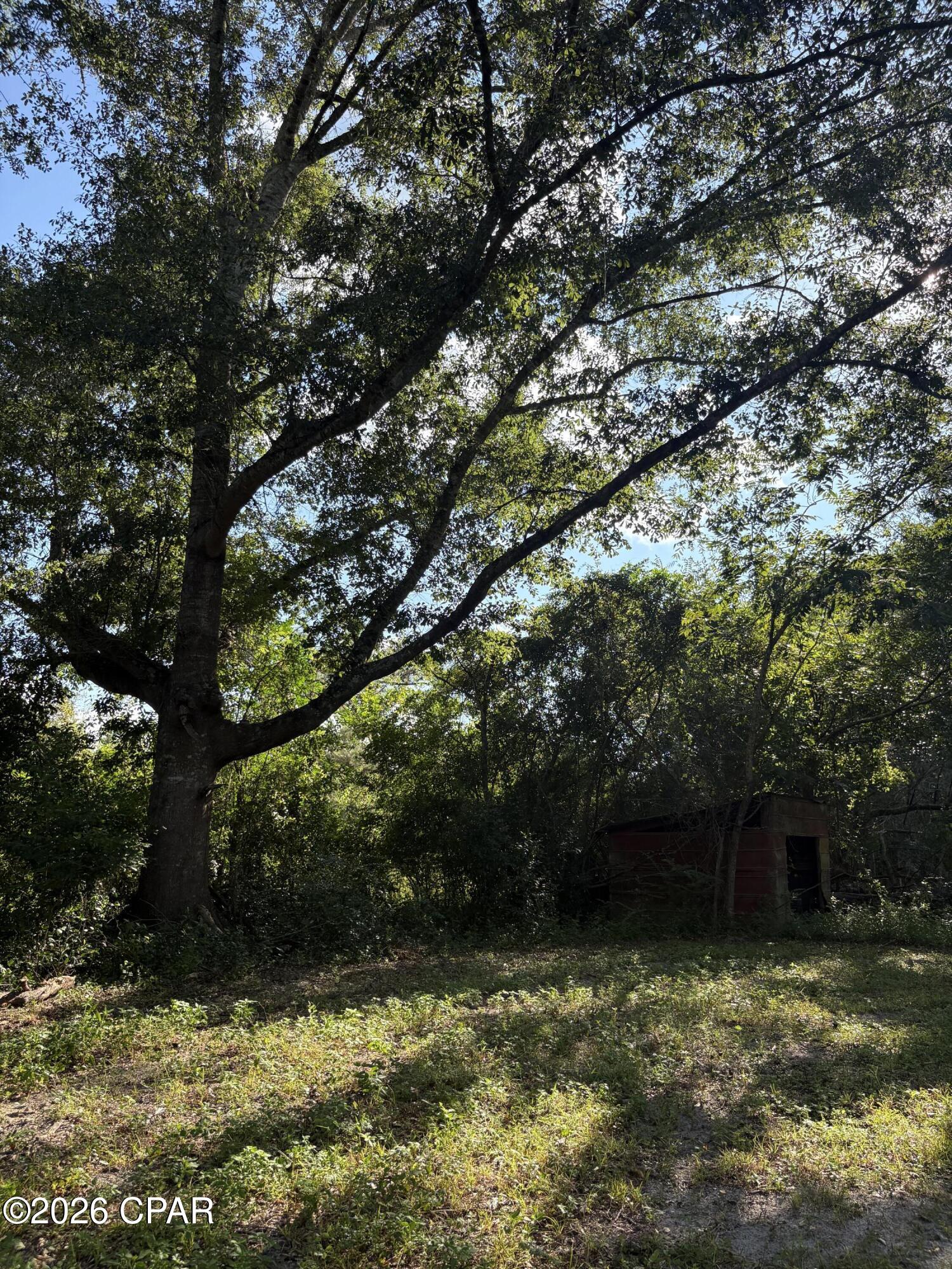 main property photo 86