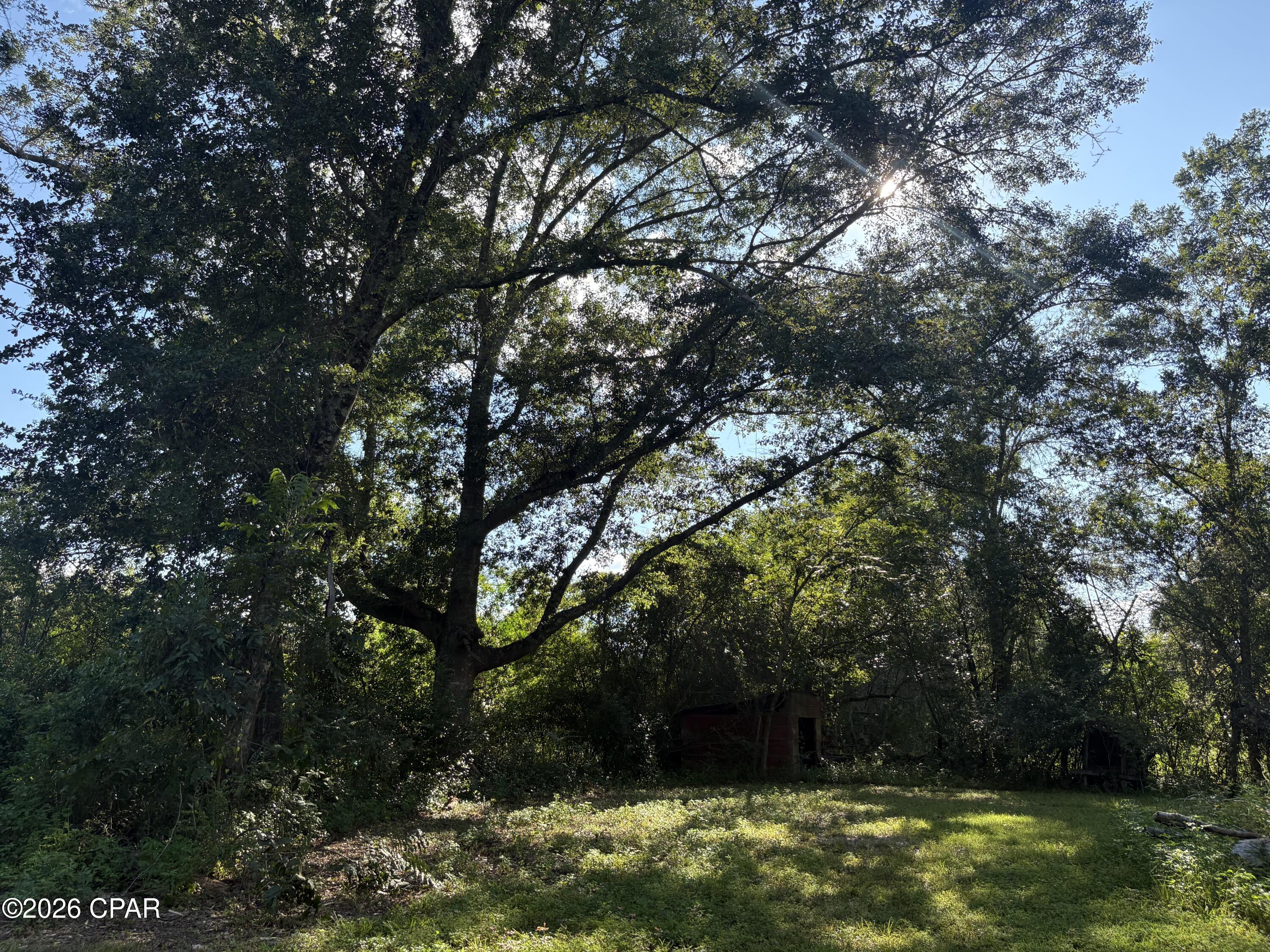 main property photo 87