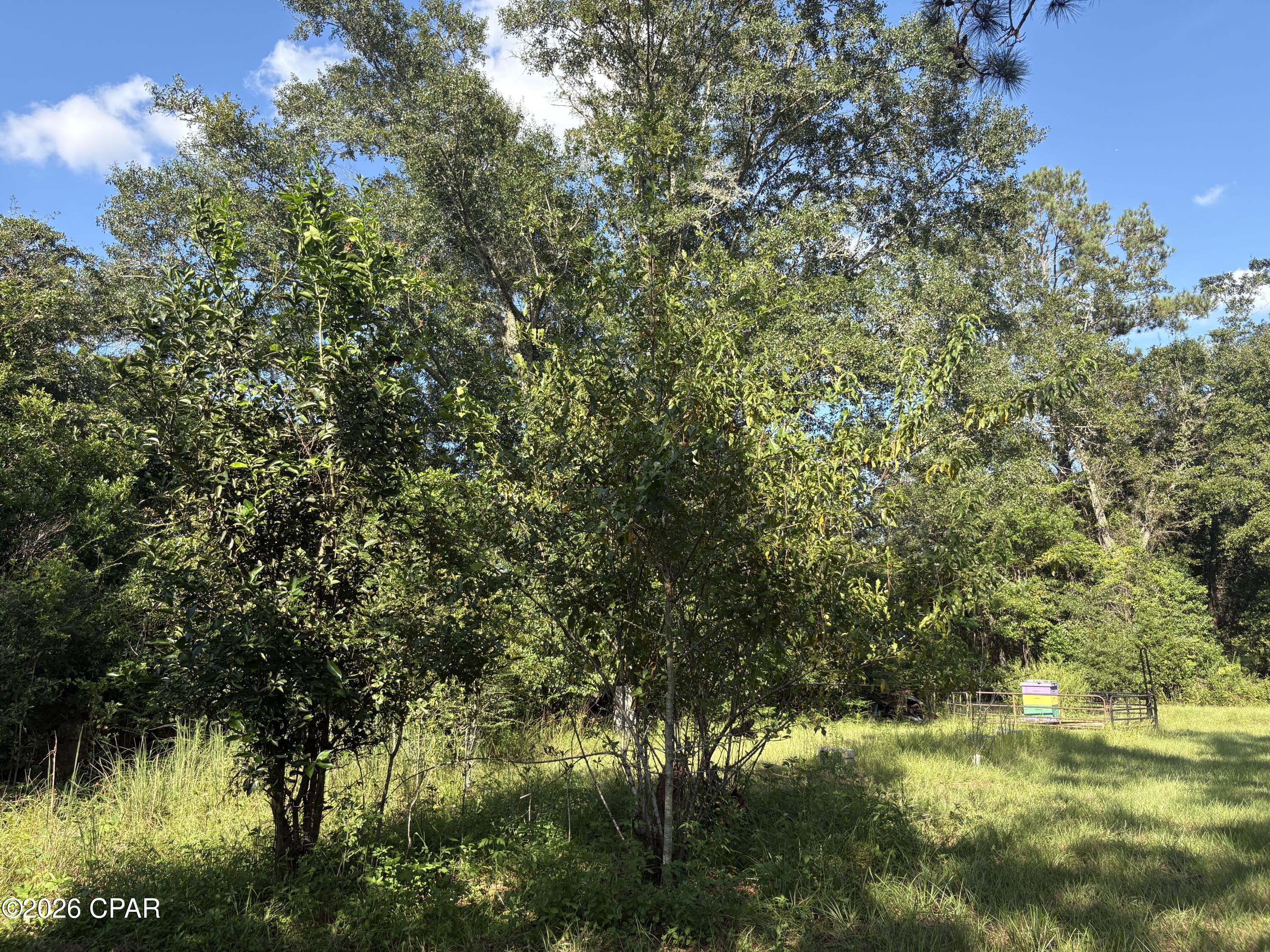 main property photo 90