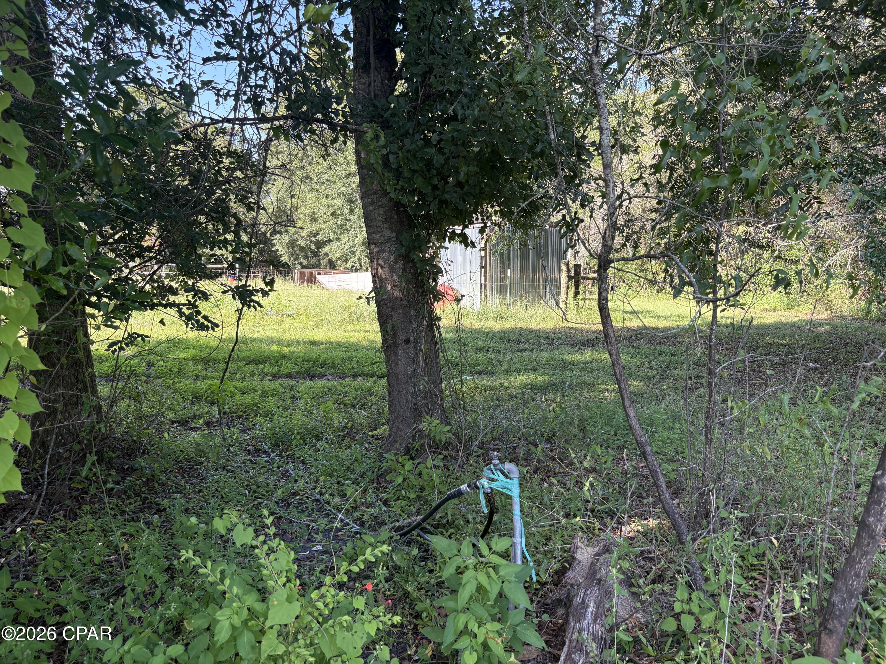main property photo 91