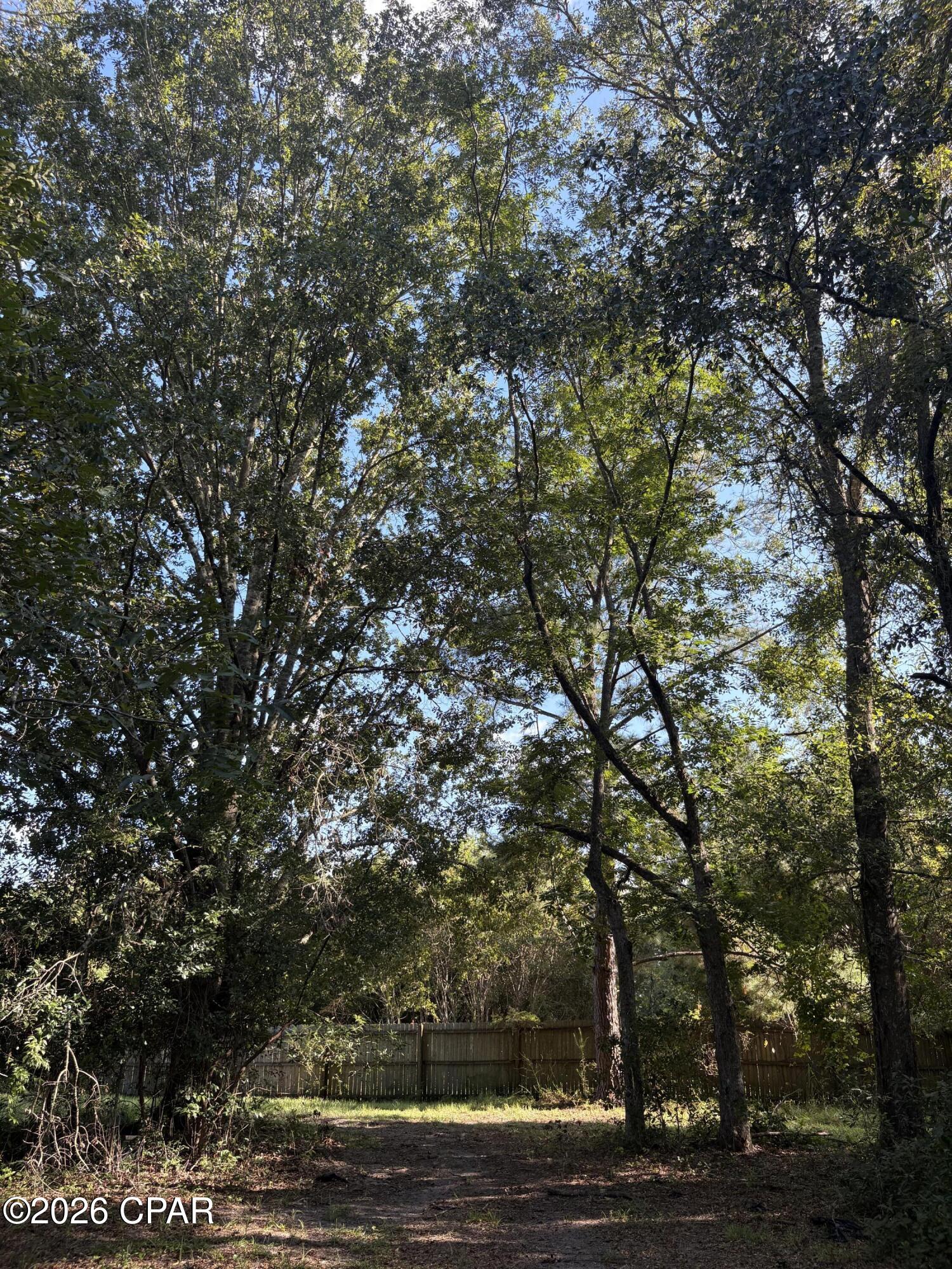 main property photo 93