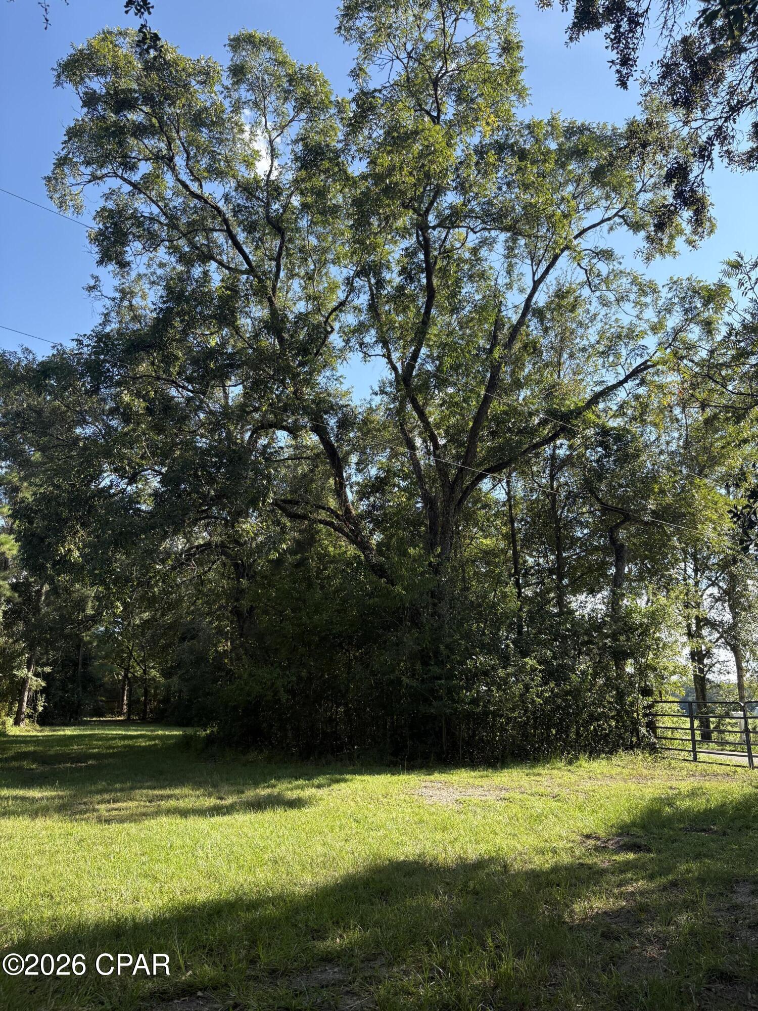 main property photo 97