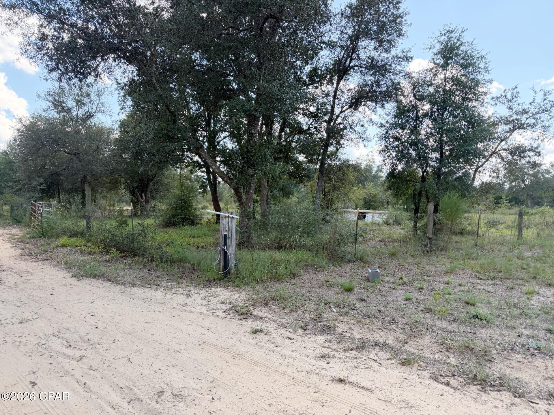 main property photo 42