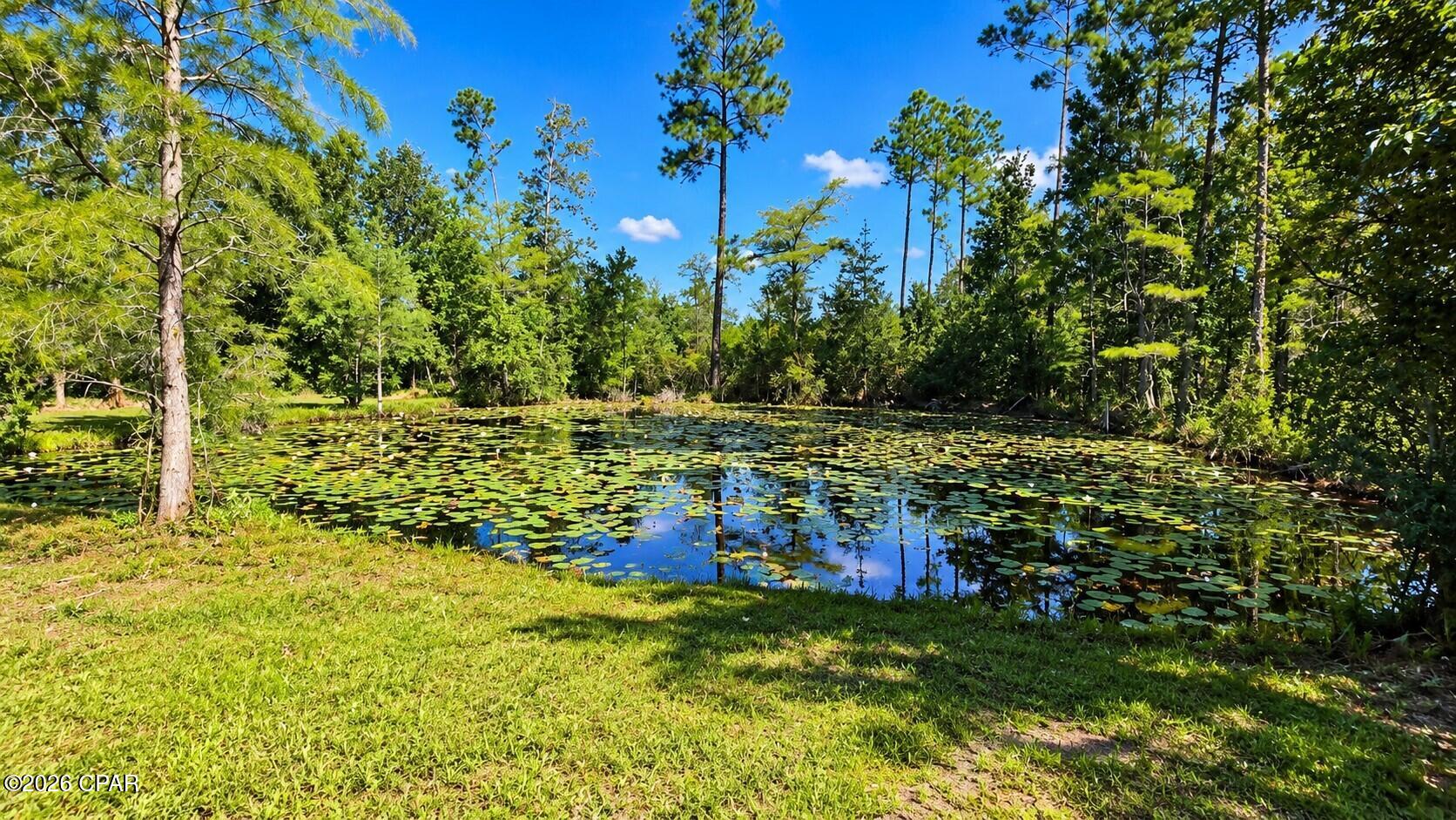 main property photo 9