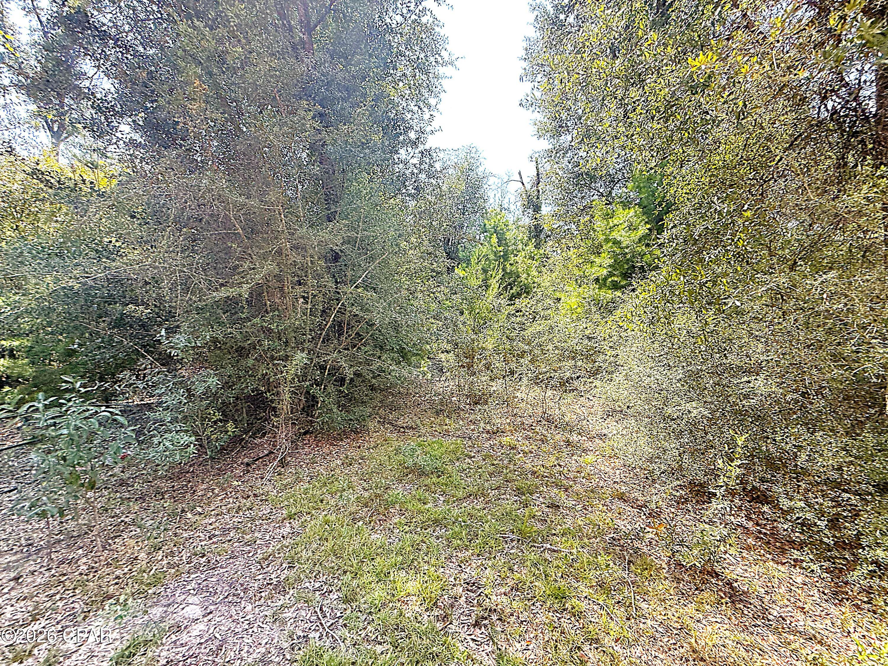 main property photo 24