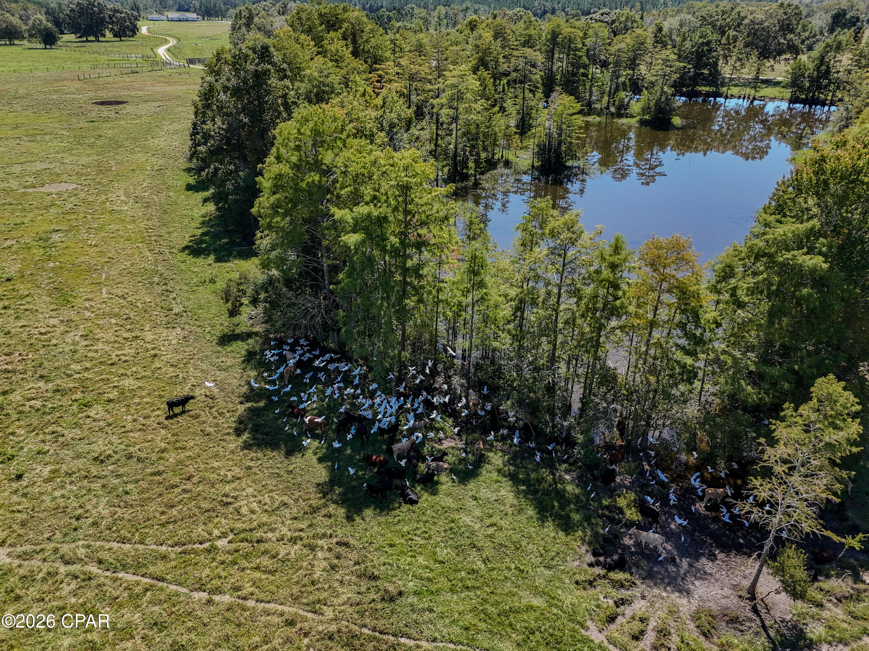 main property photo 68