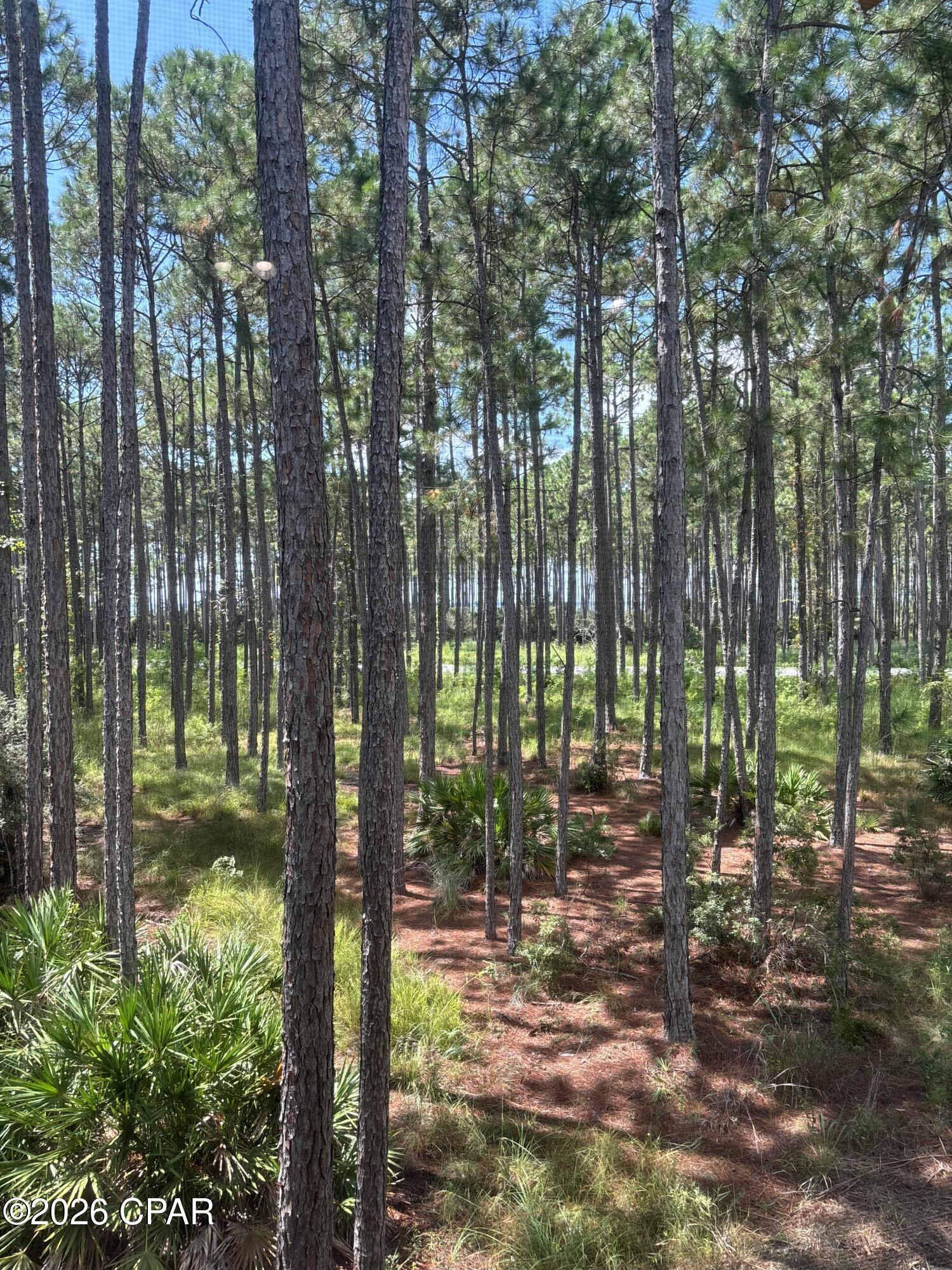 main property photo 40