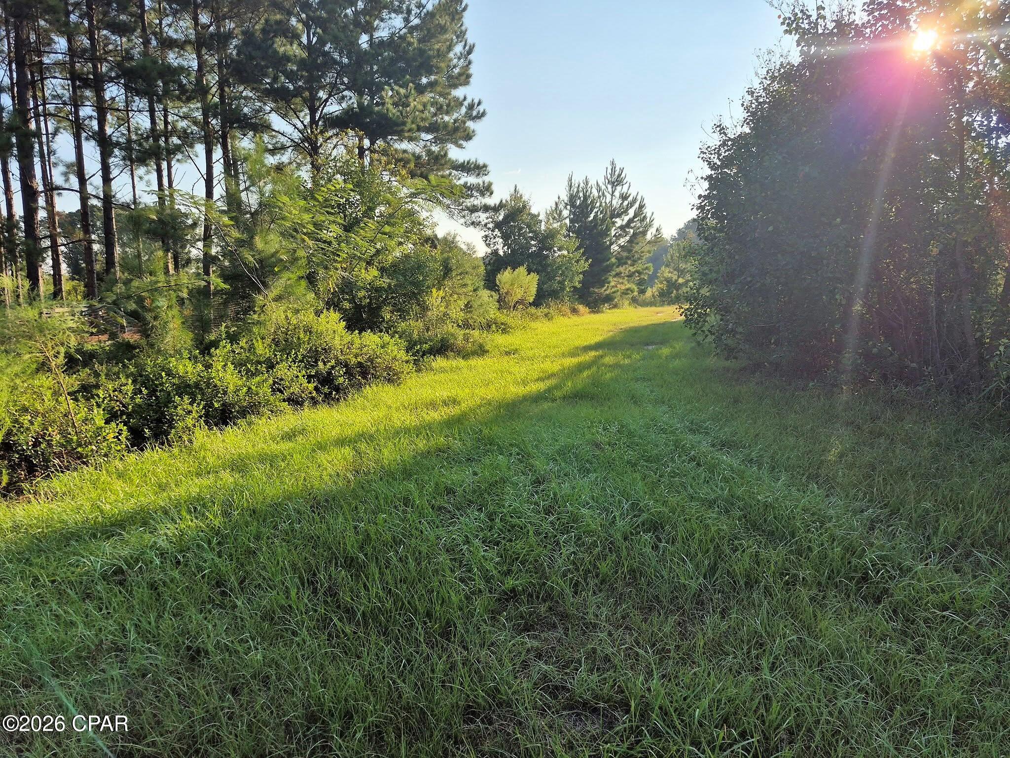 main property photo 23