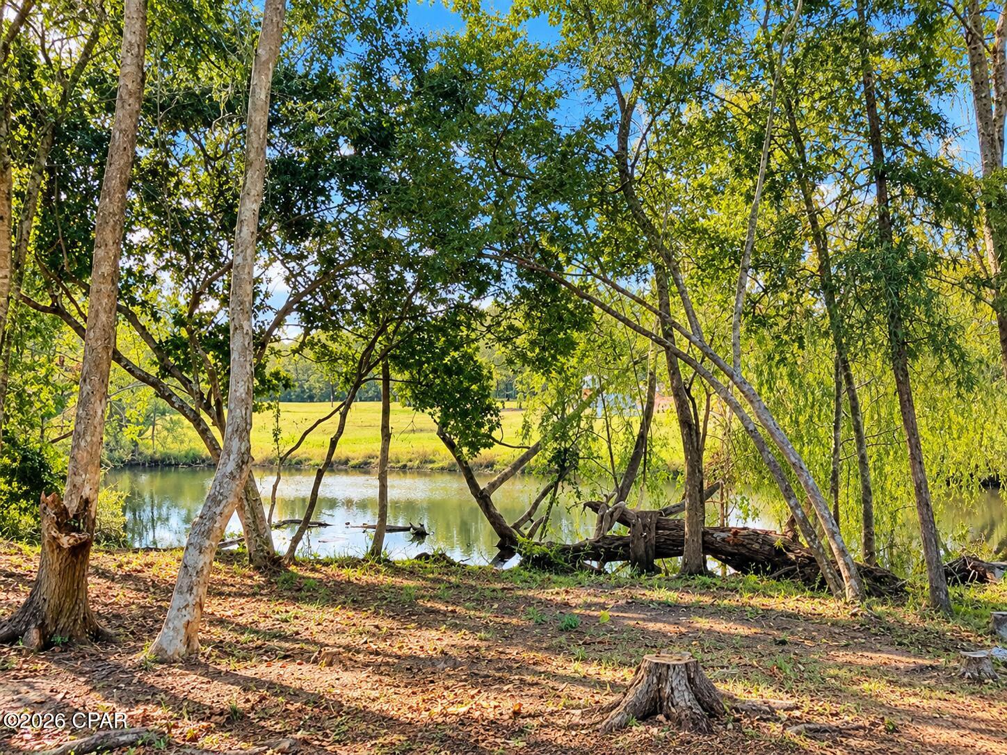 main property photo 37