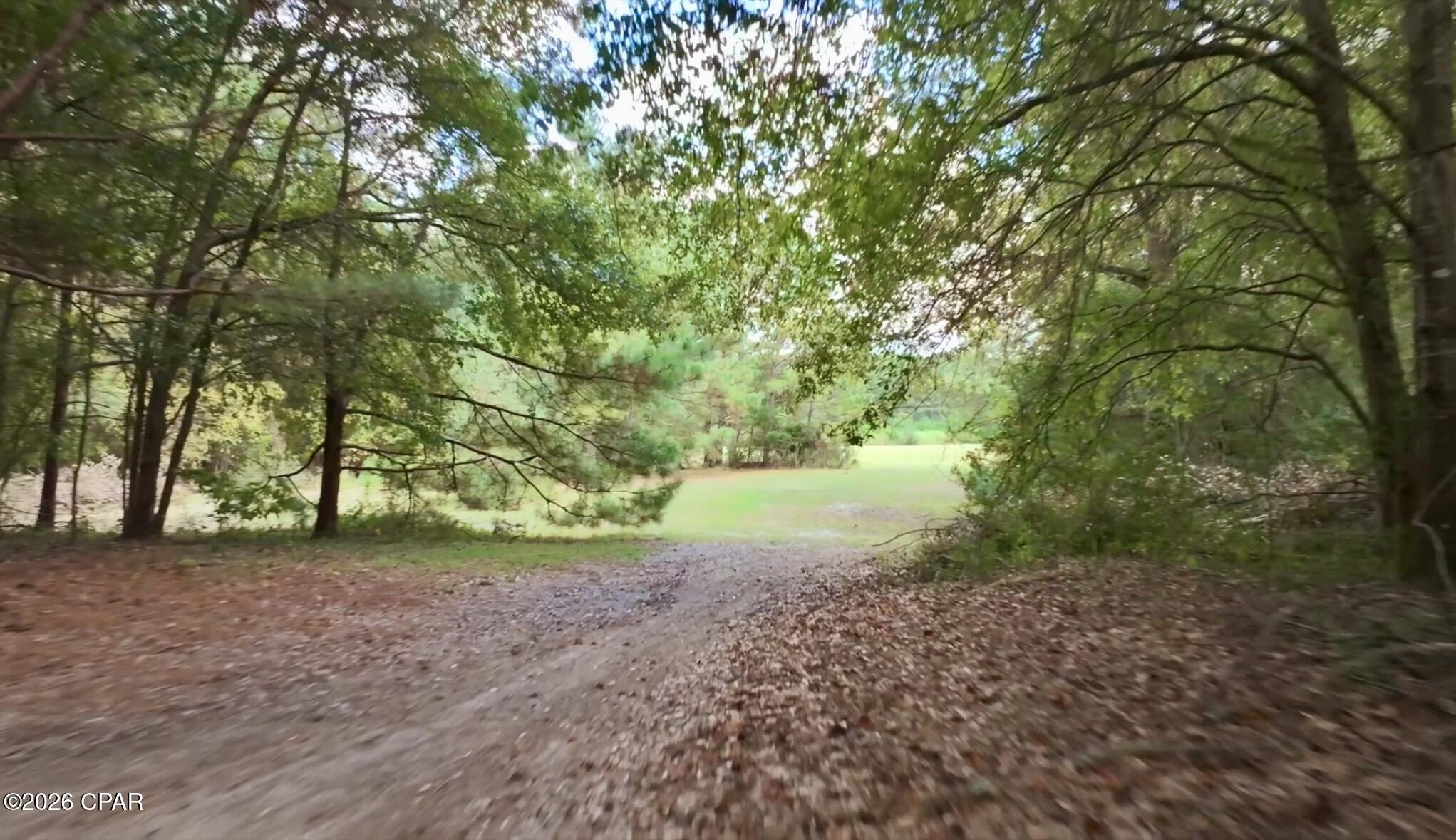 main property photo 63