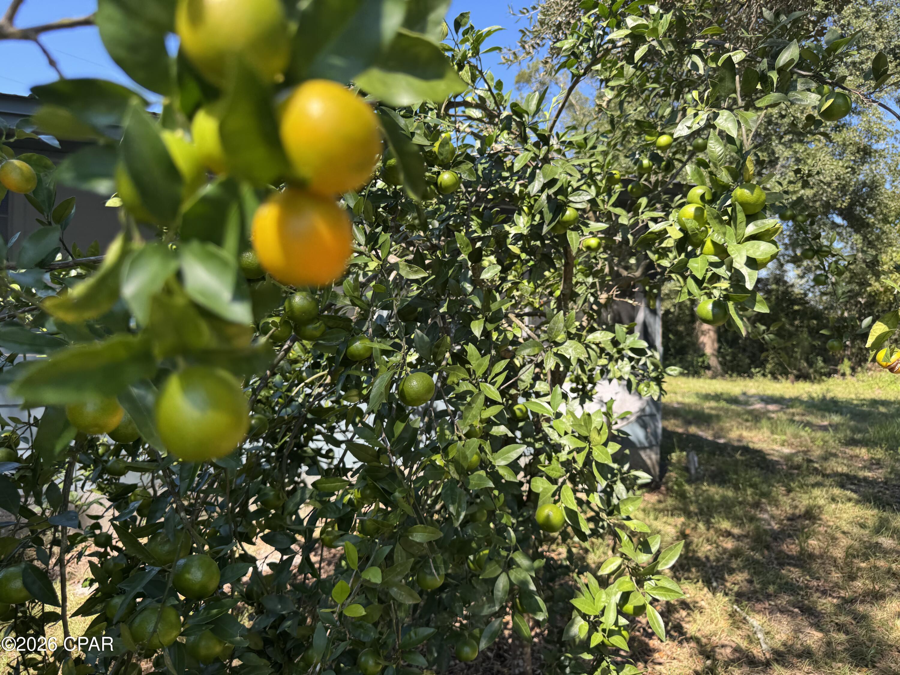 main property photo 35