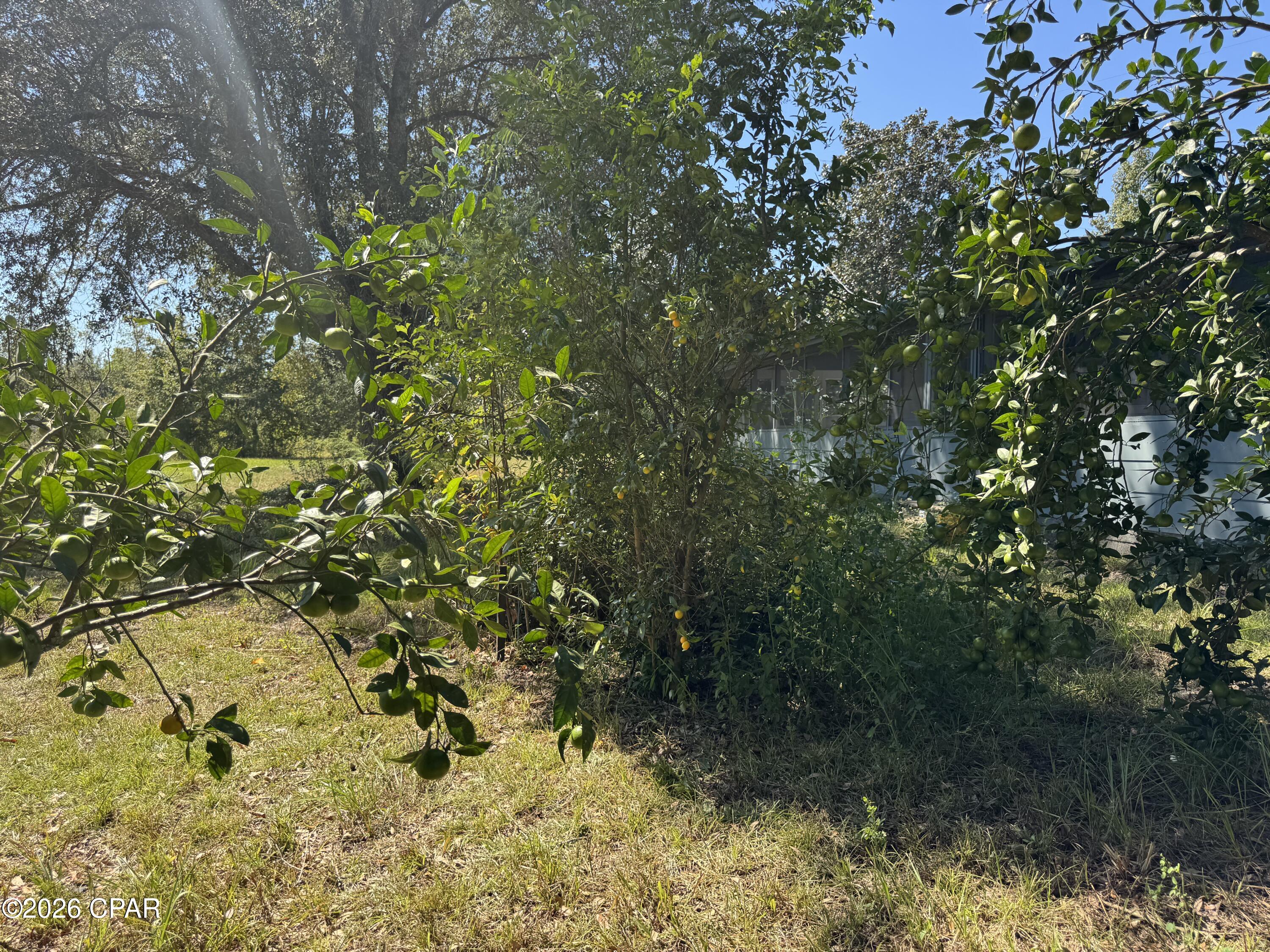 main property photo 36