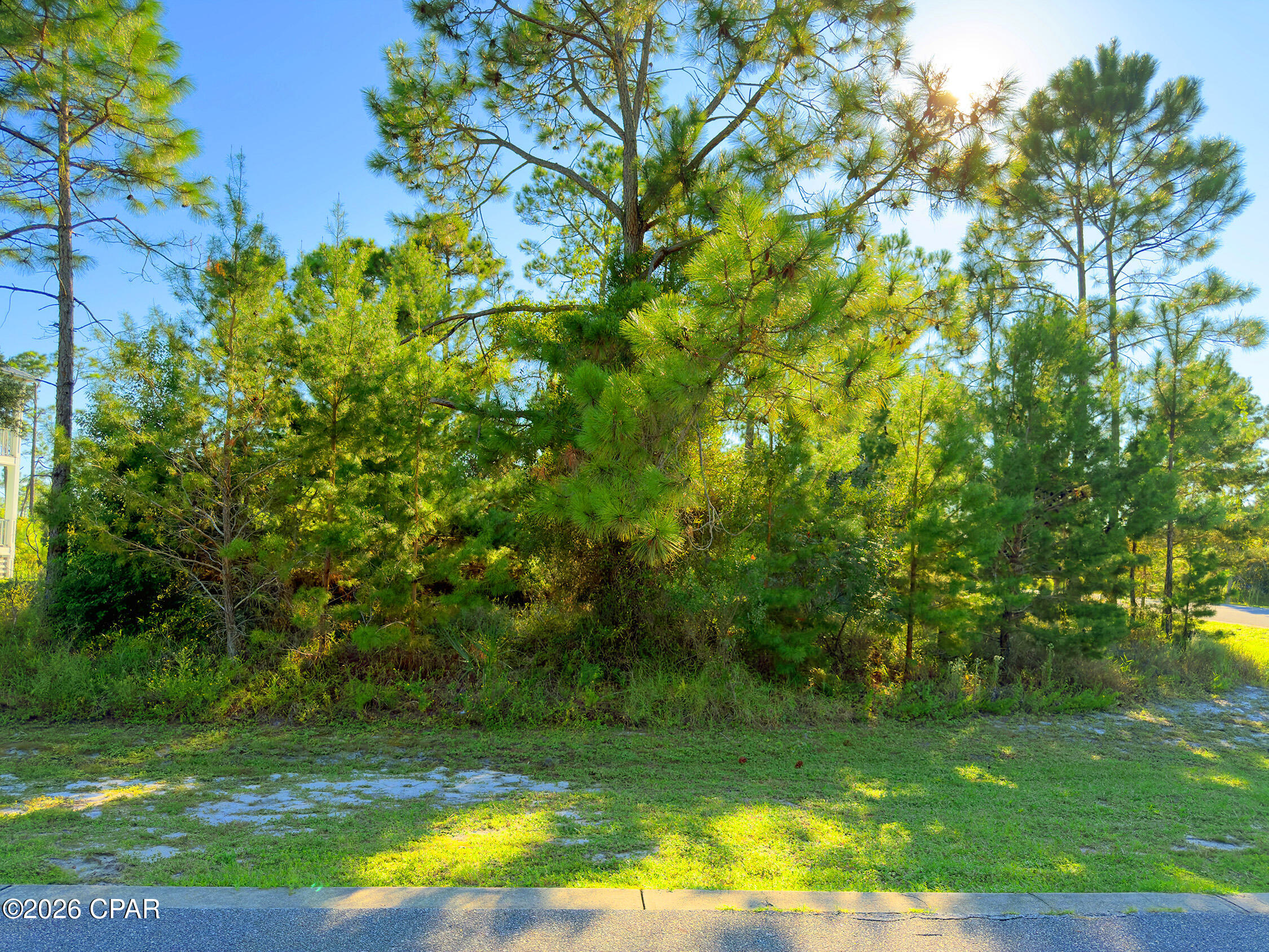 main property photo 0