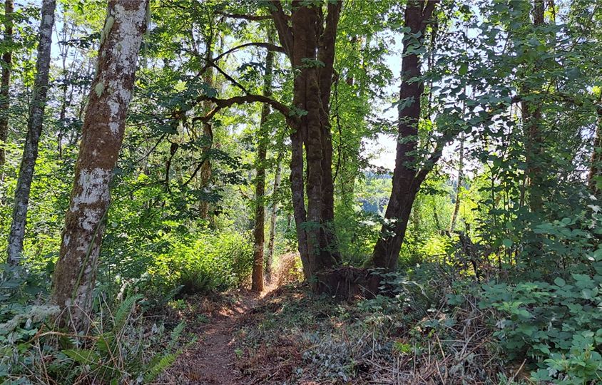 0 Loop Lot 2 Road, Centralia, WA 98531